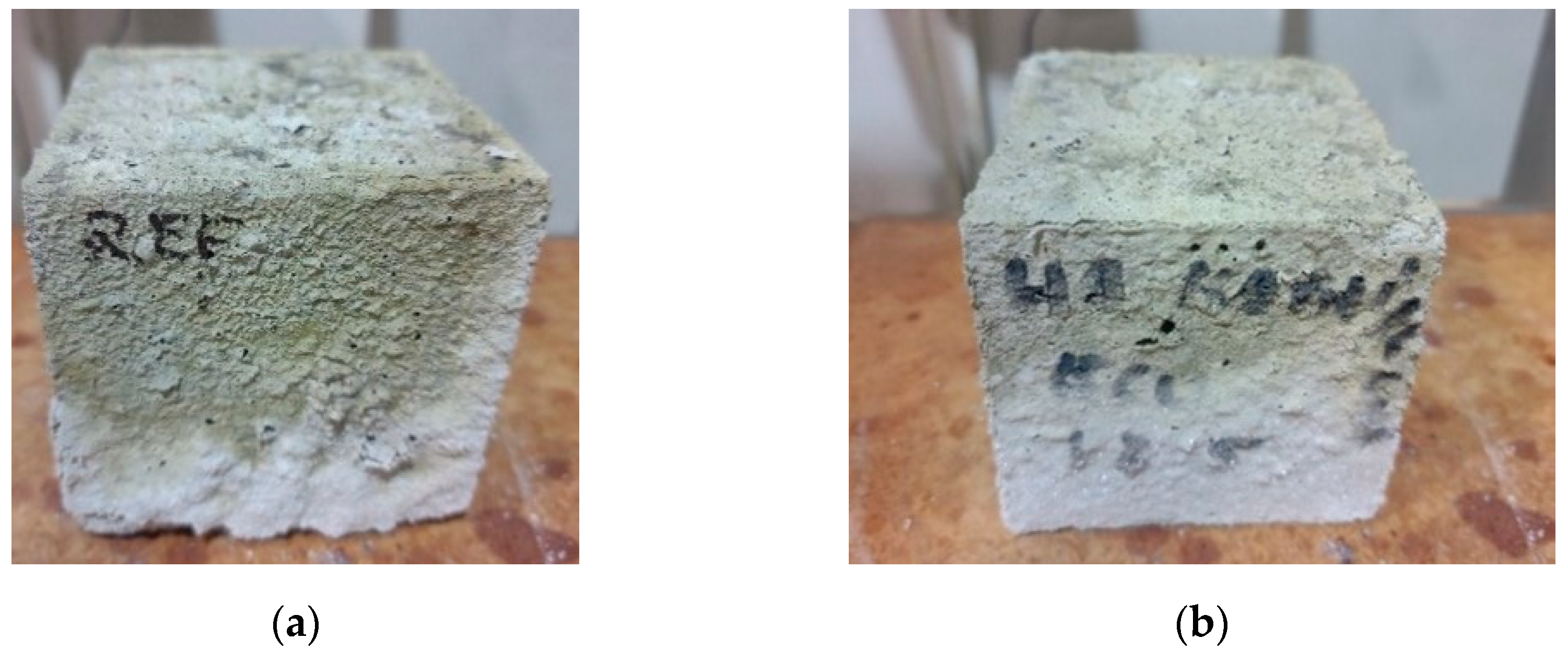Coatings 15 00175 g017a Coatings 15 00175 g017a