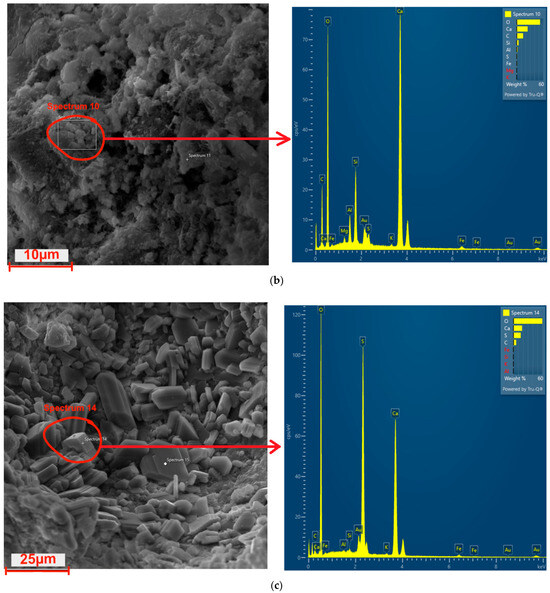 Coatings 15 00175 g018b Coatings 15 00175 g018b