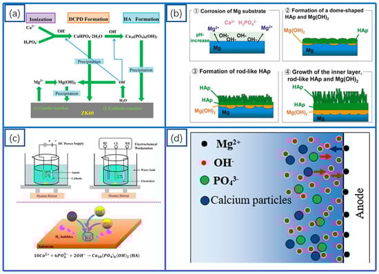 Coatings 15 00191 g001