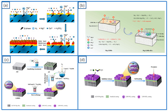 Coatings 15 00191 g004