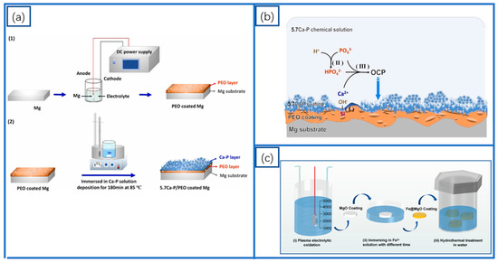 Coatings 15 00191 g005
