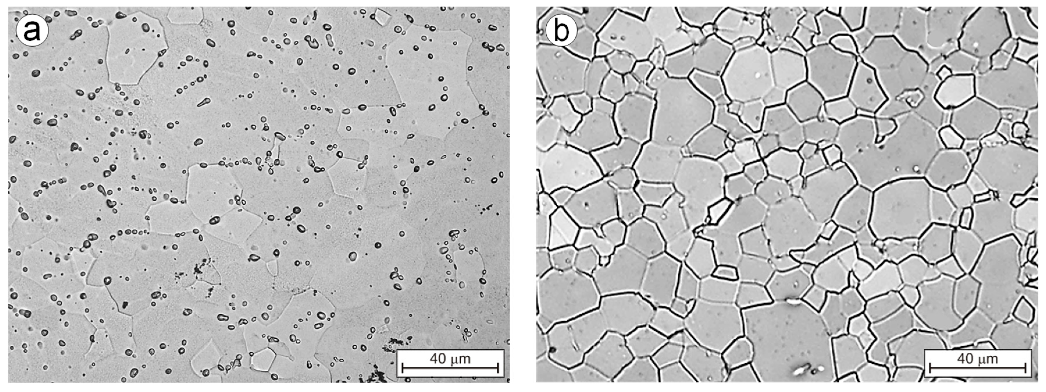 Coatings 15 00224 g005 Coatings 15 00224 g005