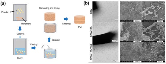 Coatings 15 00229 g005