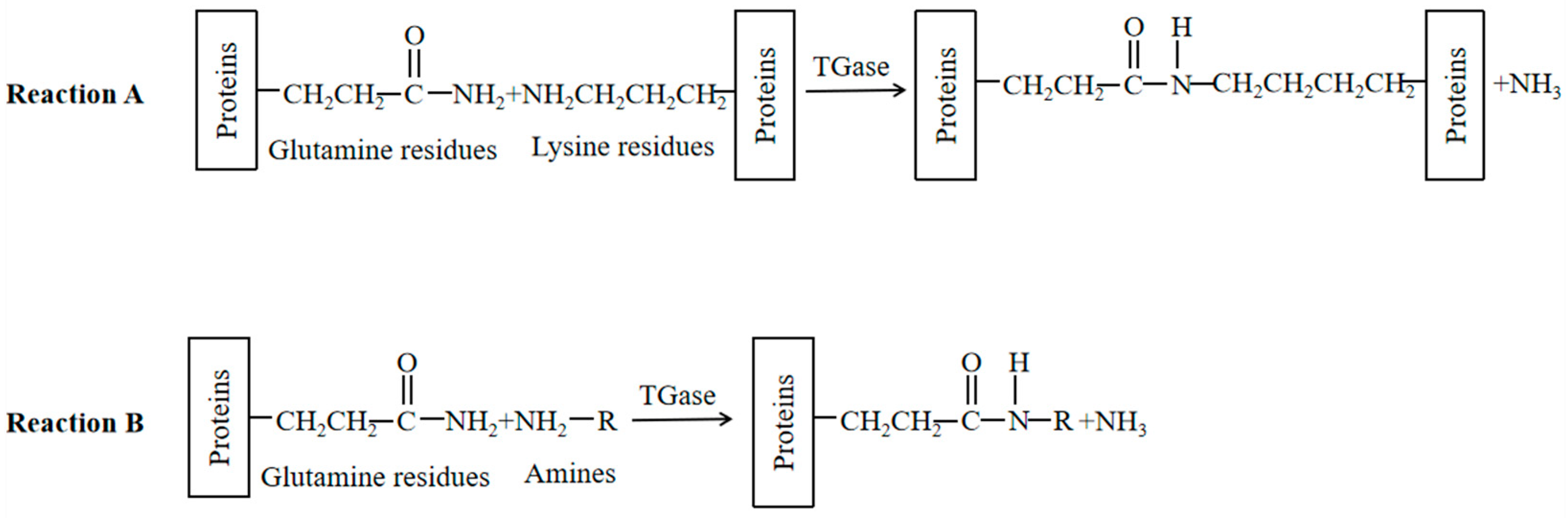 Coatings 15 00238 g002