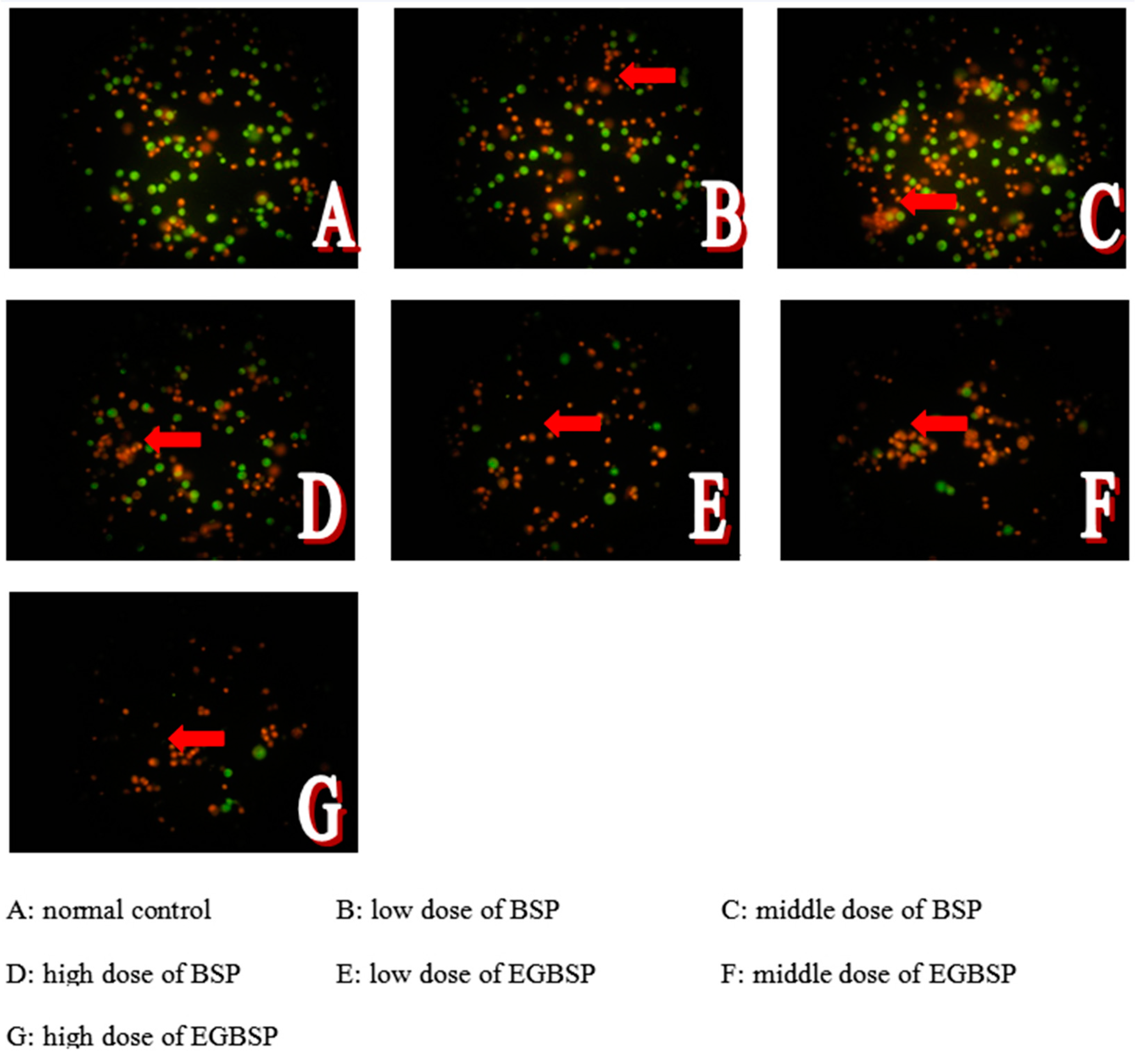 Coatings 15 00238 g009