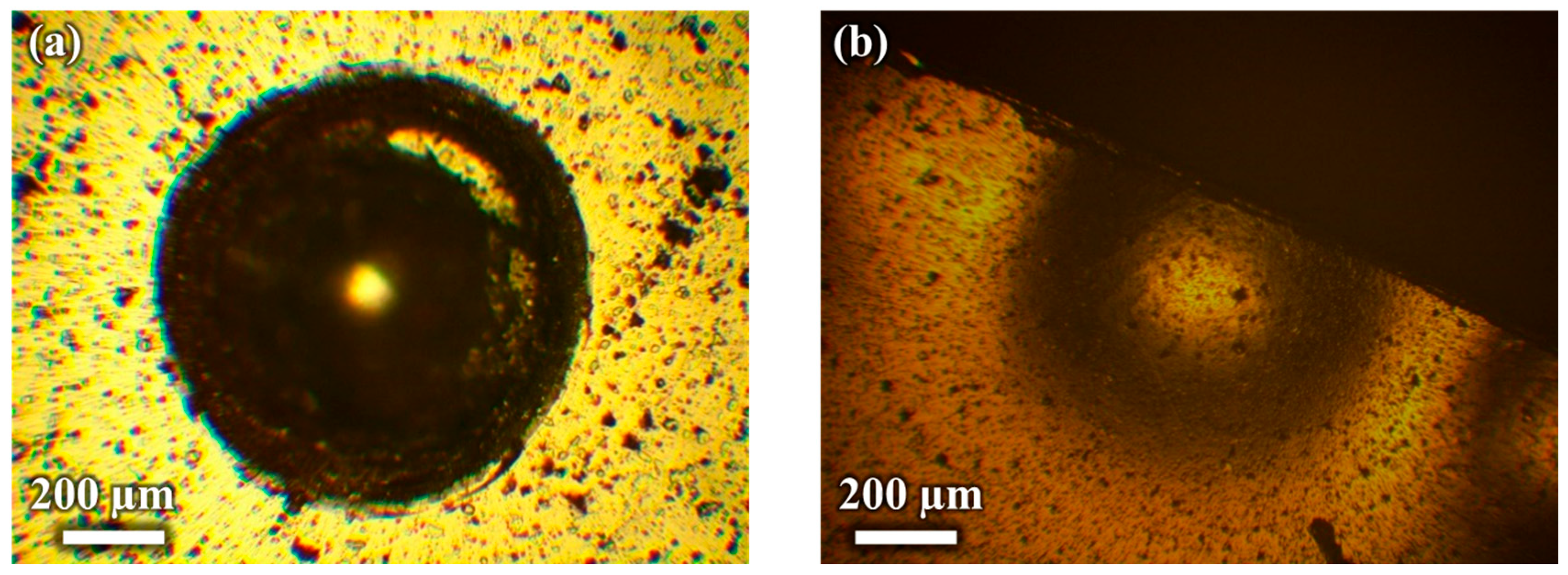 Coatings 15 00241 g008 Coatings 15 00241 g008