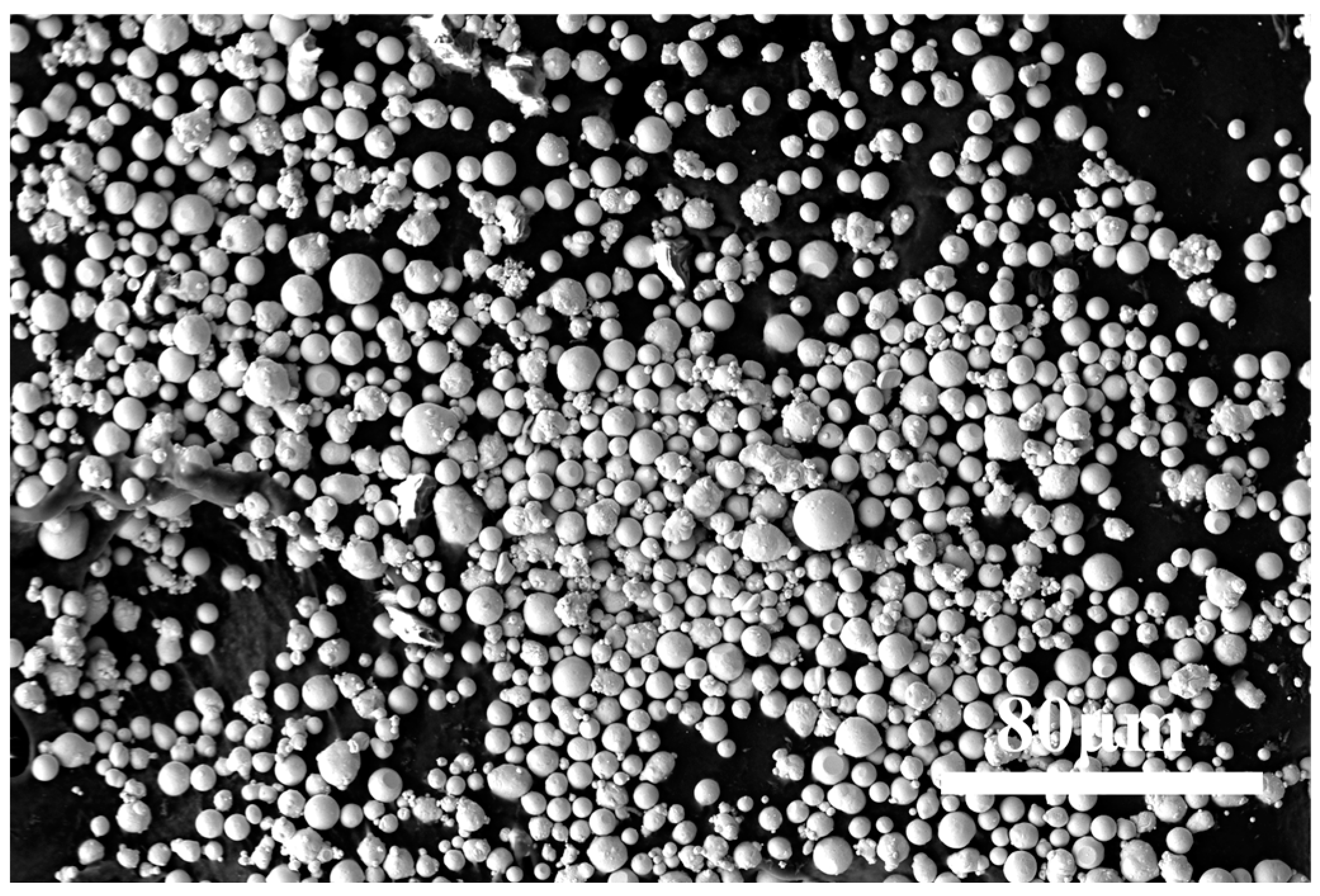 Coatings 15 00290 g001 Coatings 15 00290 g001