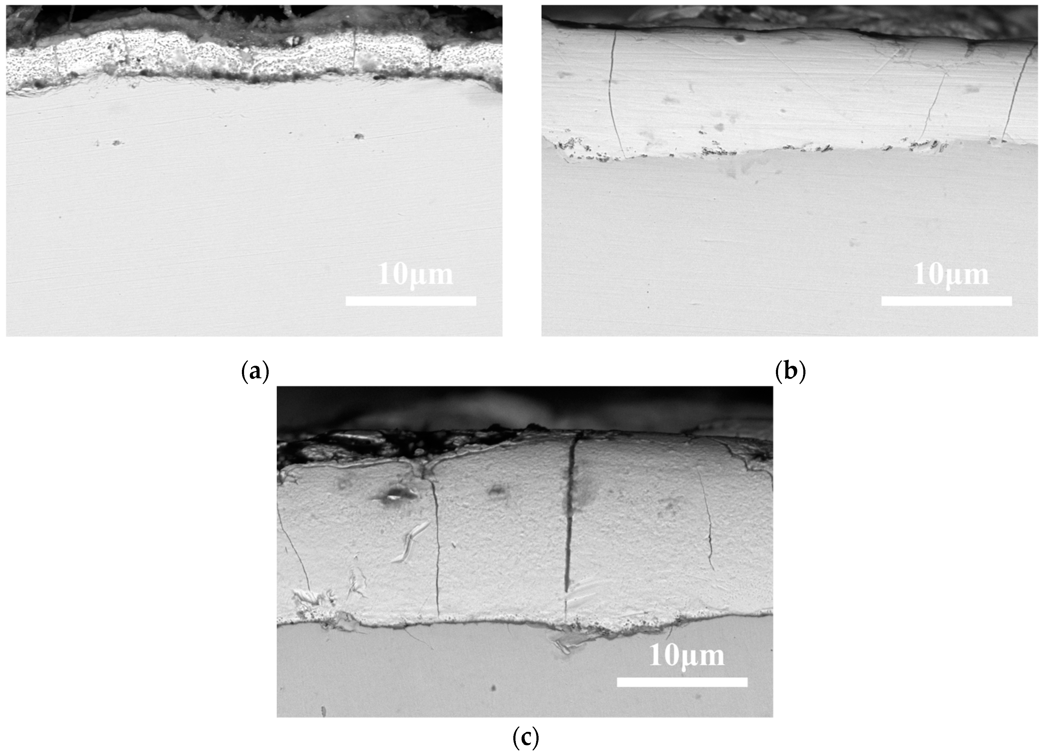 Coatings 15 00290 g002 Coatings 15 00290 g002