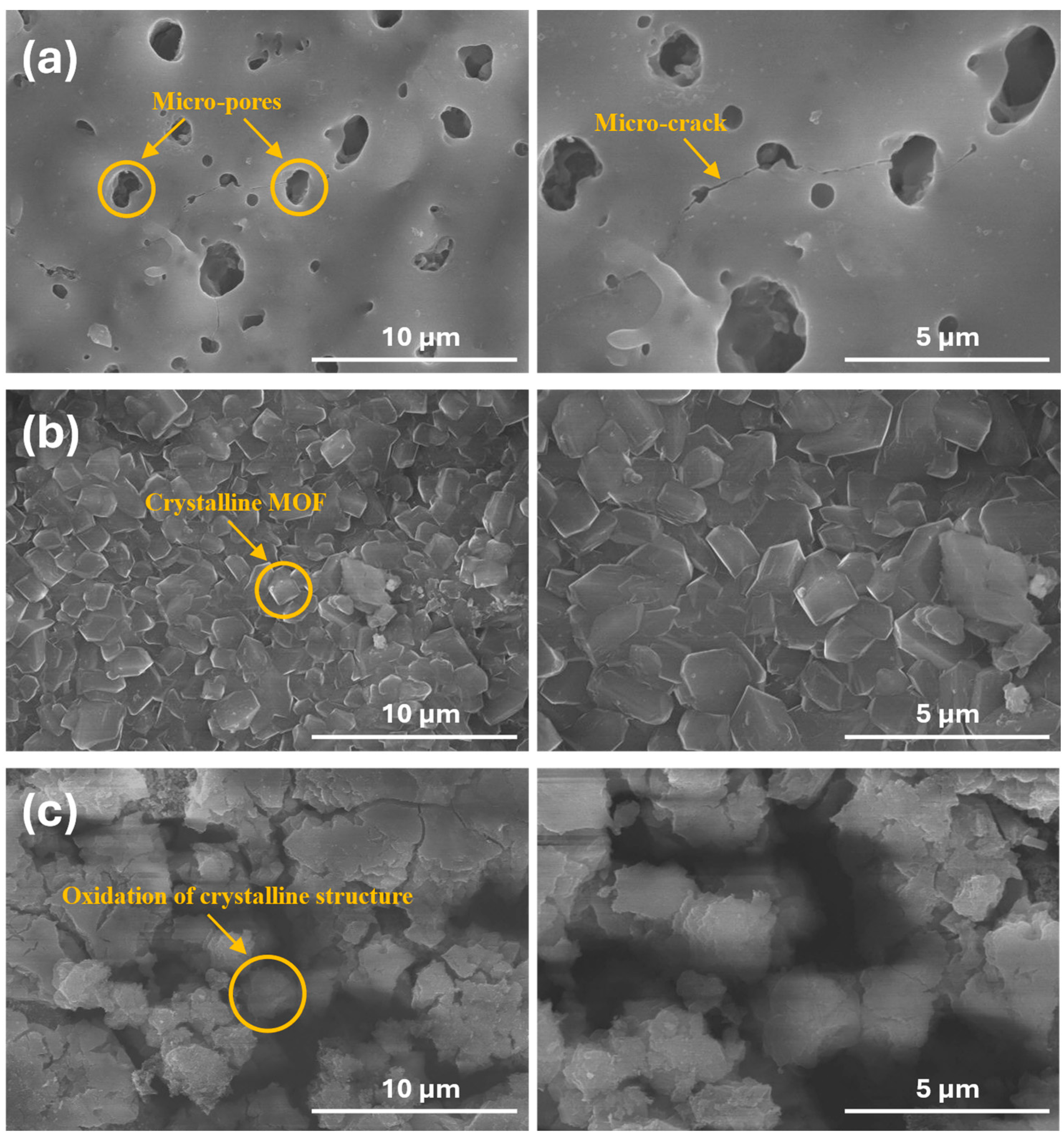 Coatings 15 00291 g002