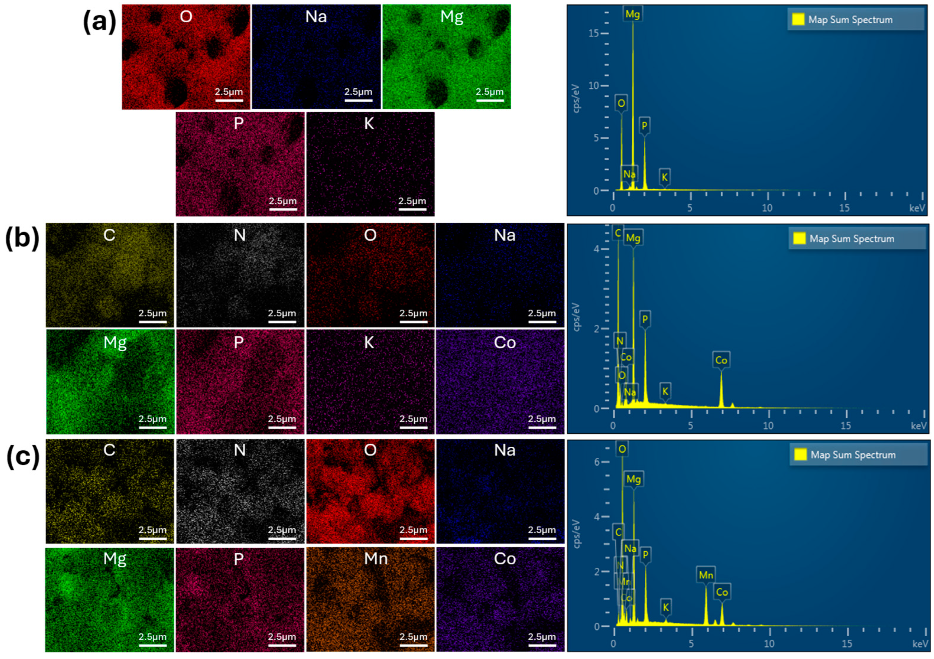 Coatings 15 00291 g003