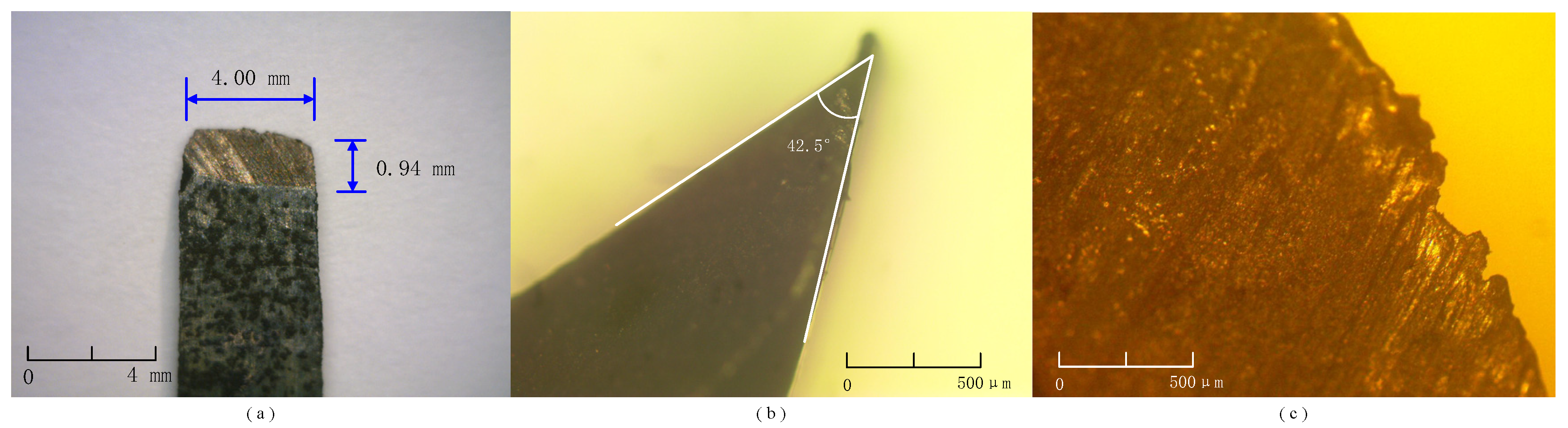 Coatings 15 00309 g006