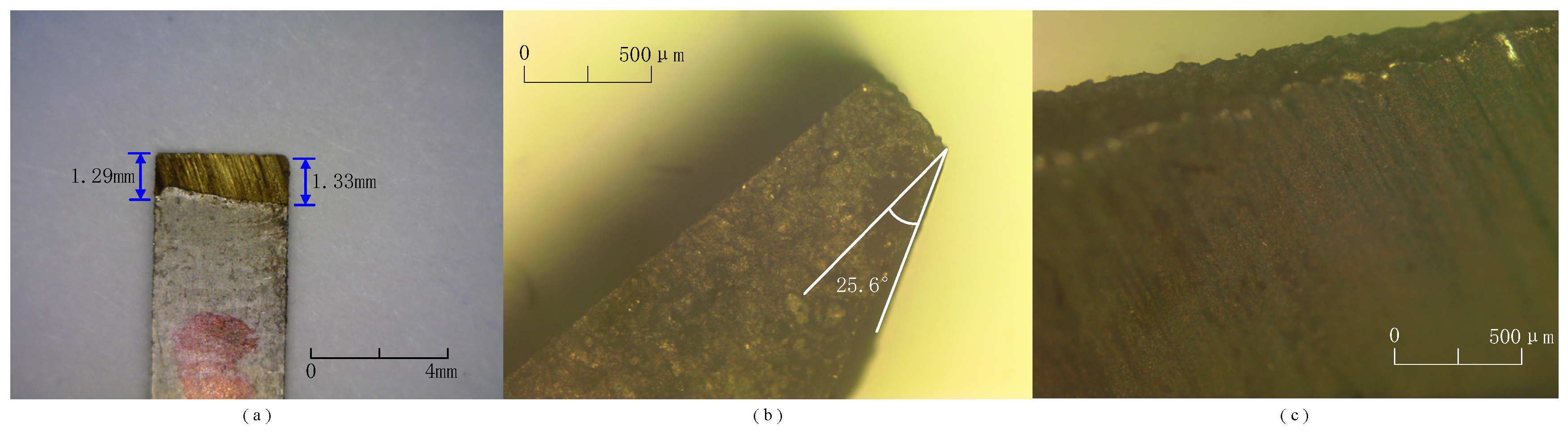 Coatings 15 00309 g007