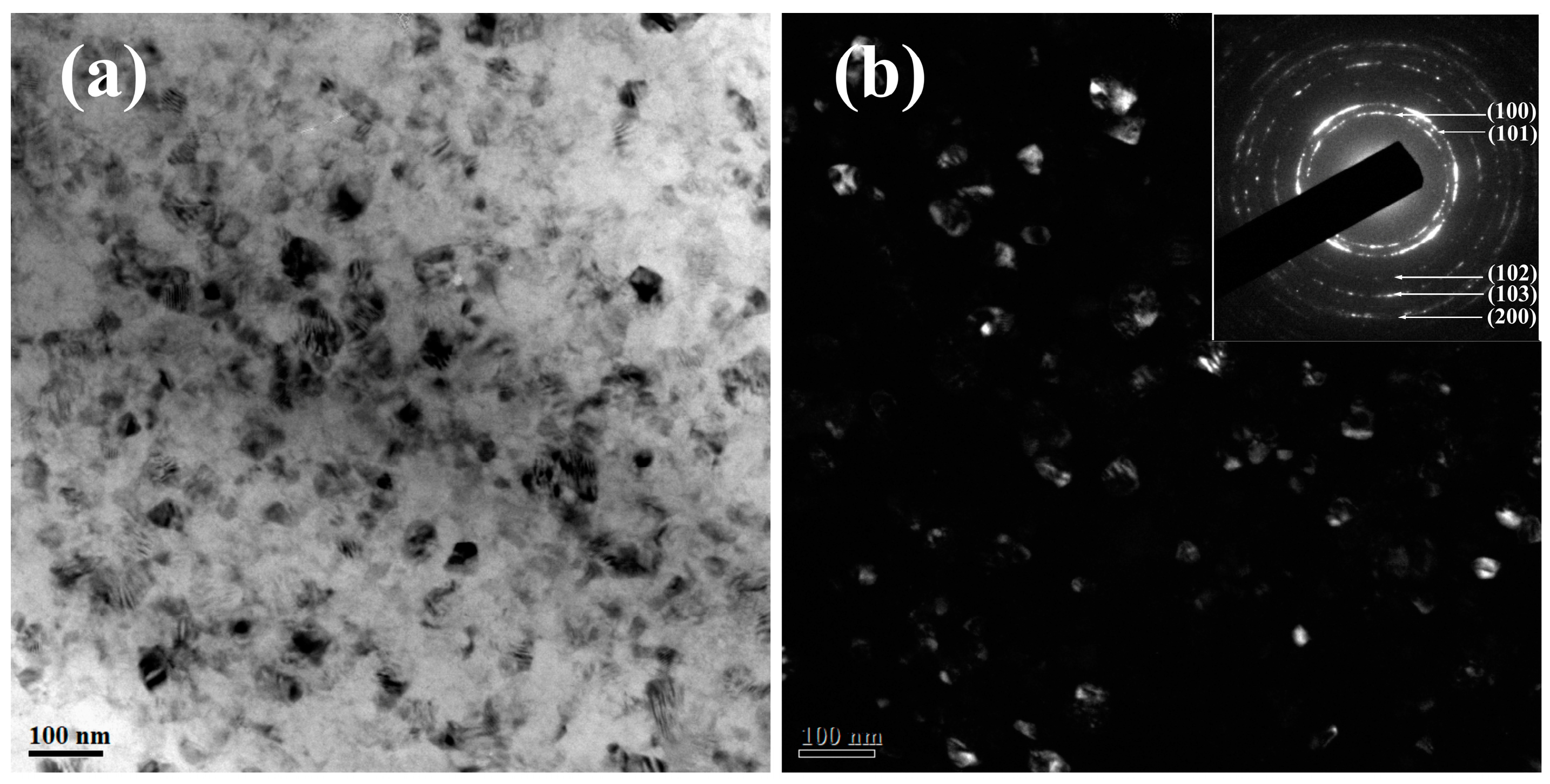 Coatings 15 00316 g009