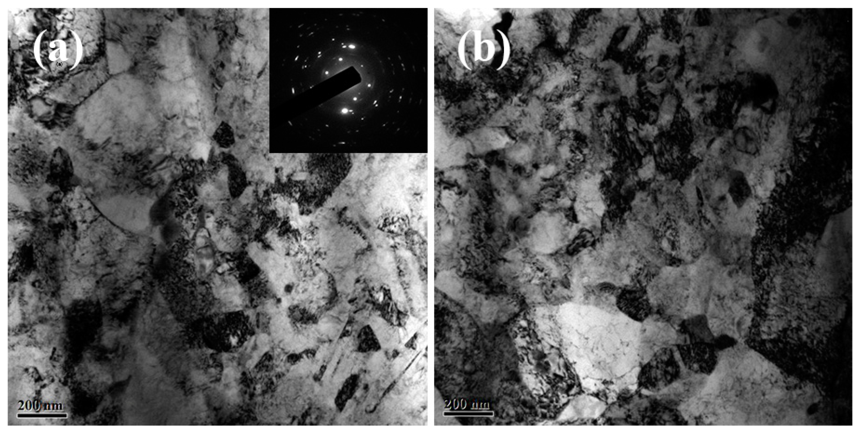 Coatings 15 00316 g010