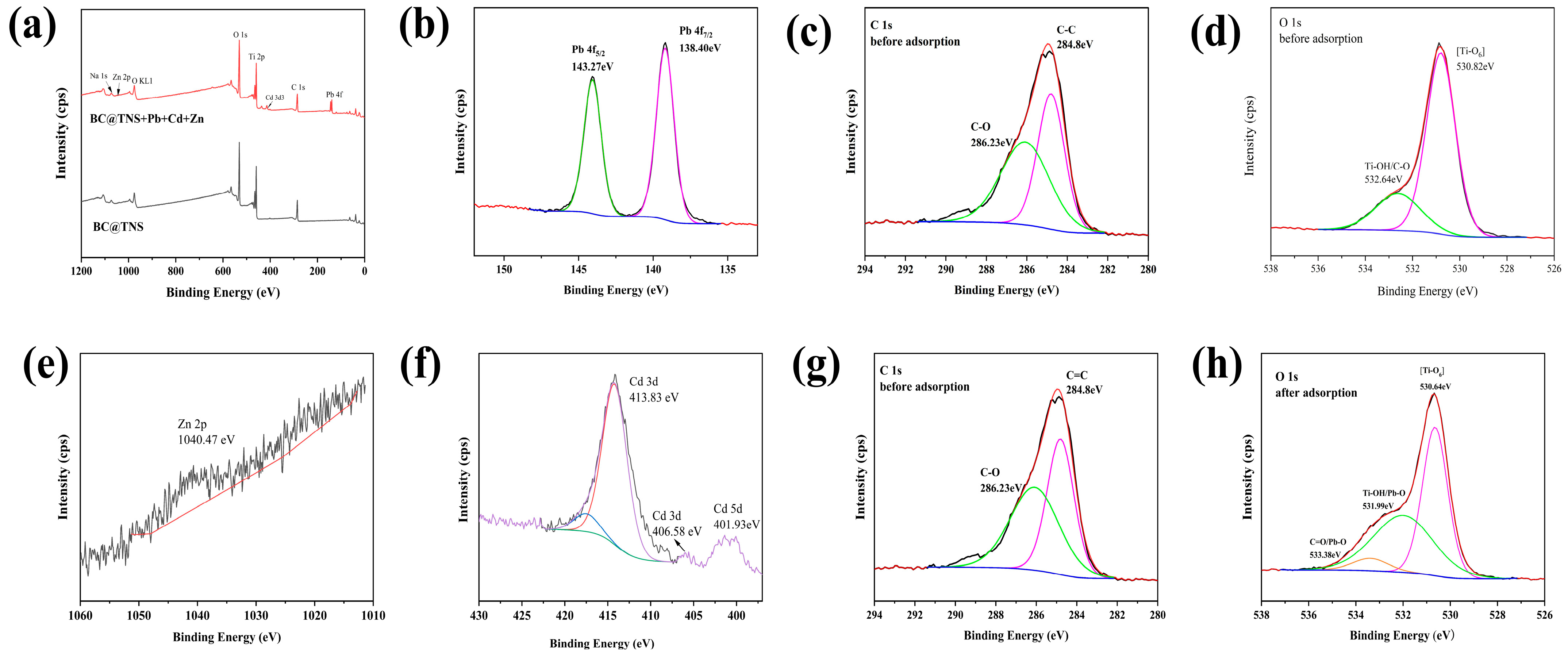 Coatings 15 00317 g004