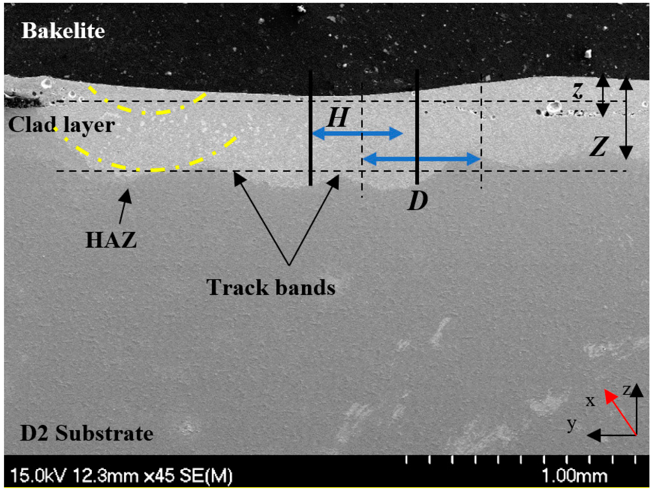 Coatings 15 00330 g002
