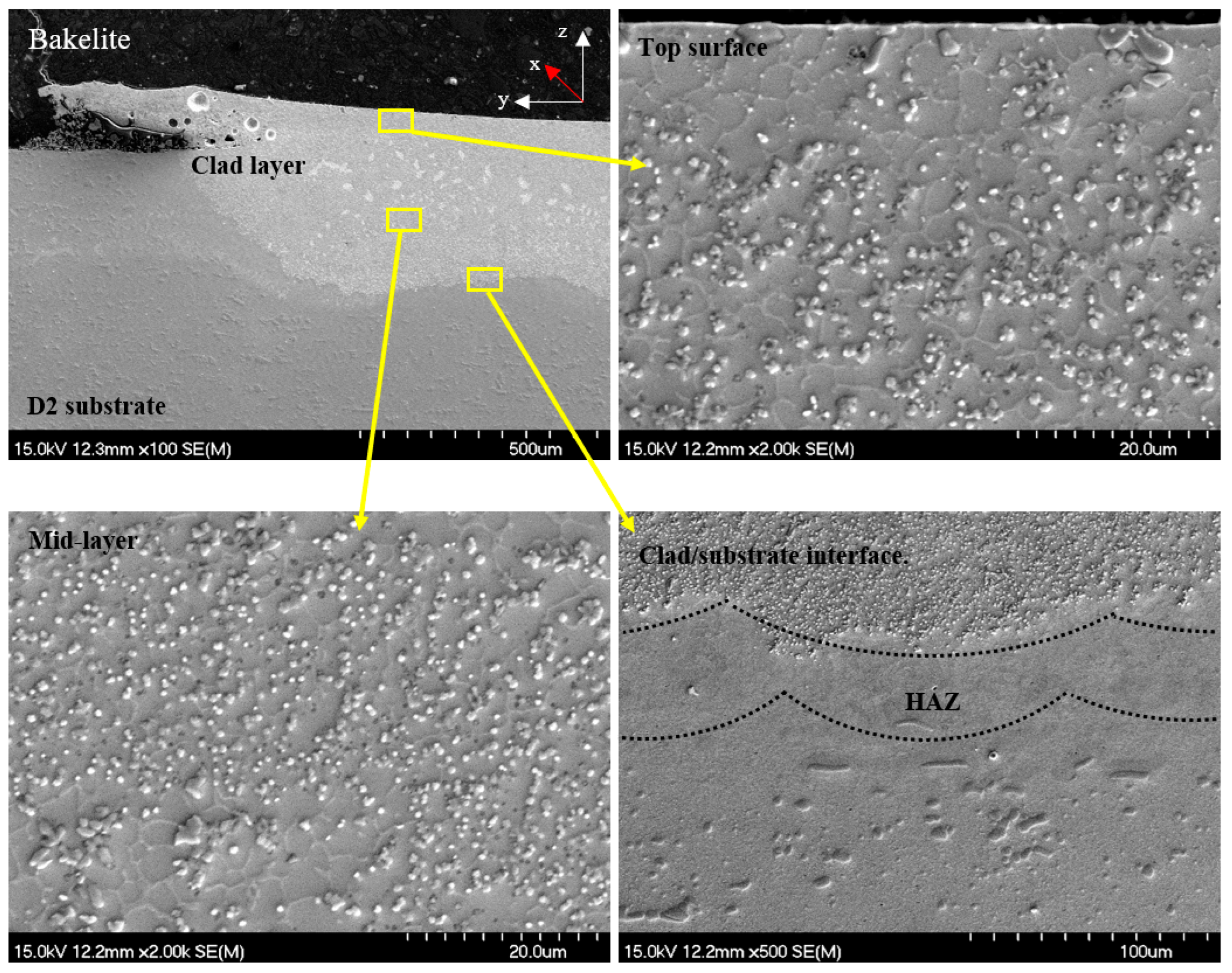 Coatings 15 00330 g007