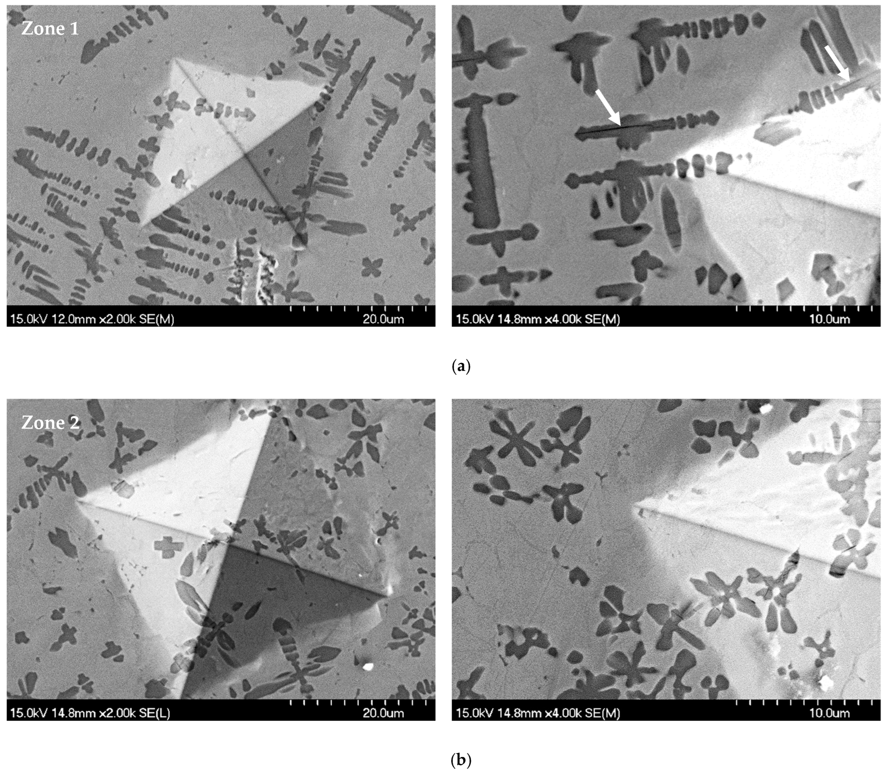 Coatings 15 00330 g013