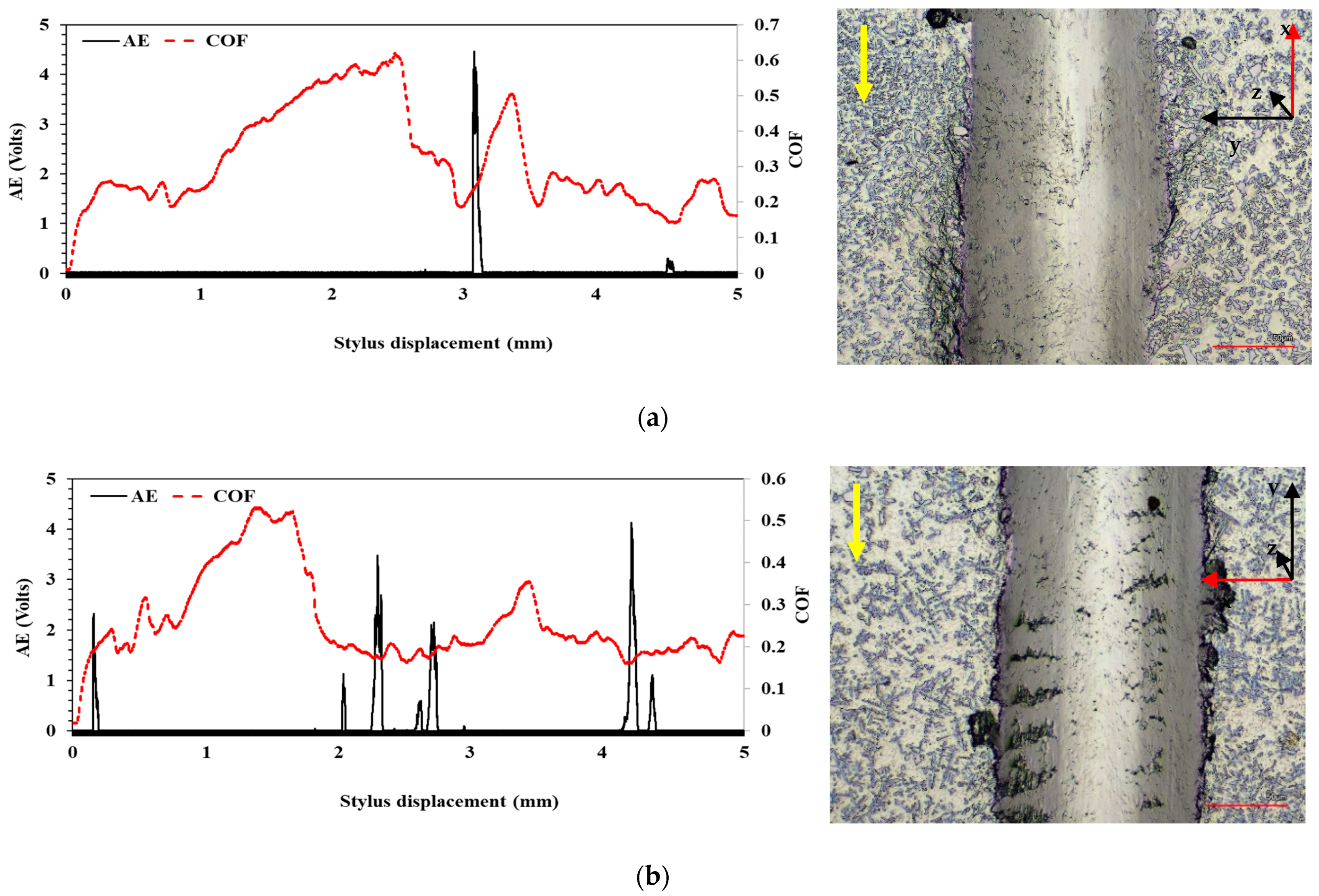 Coatings 15 00330 g019