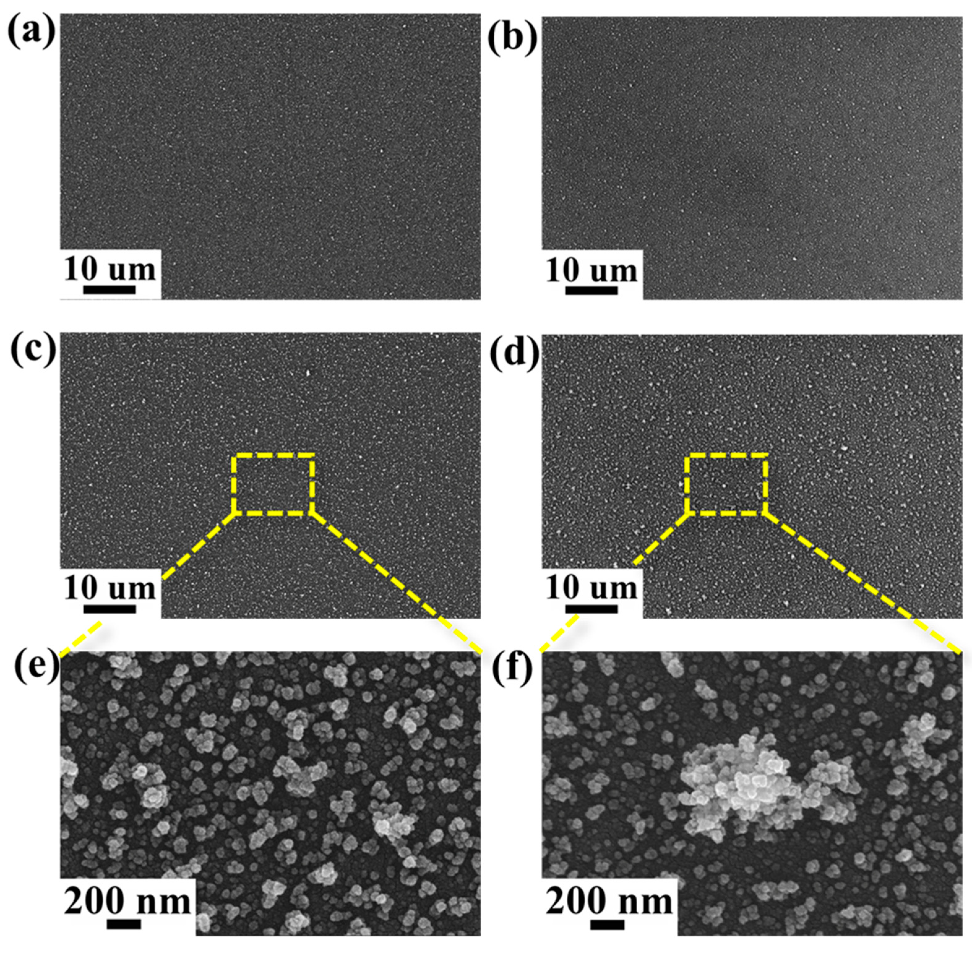 Coatings 15 00331 g002
