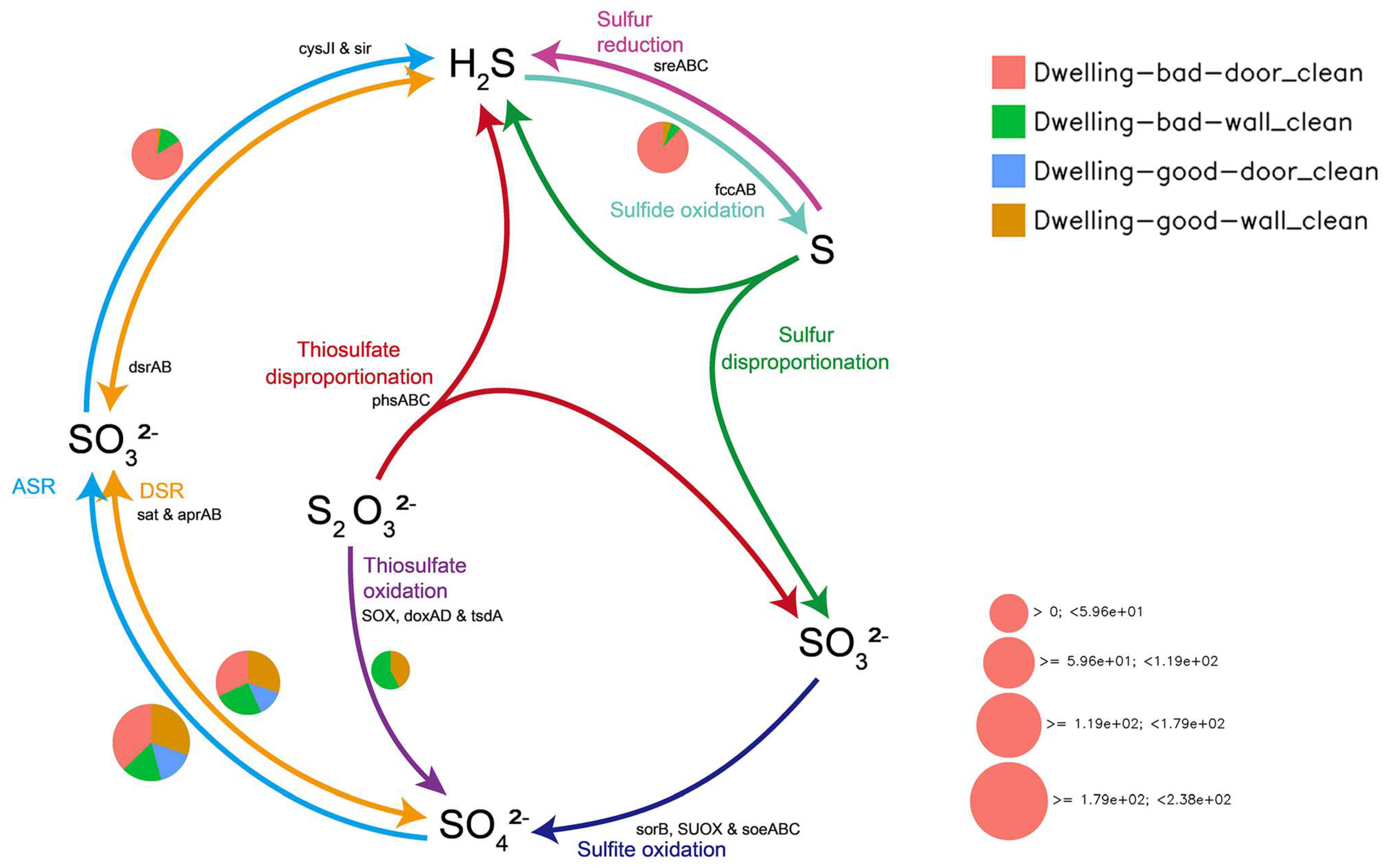 Coatings 15 00337 g007