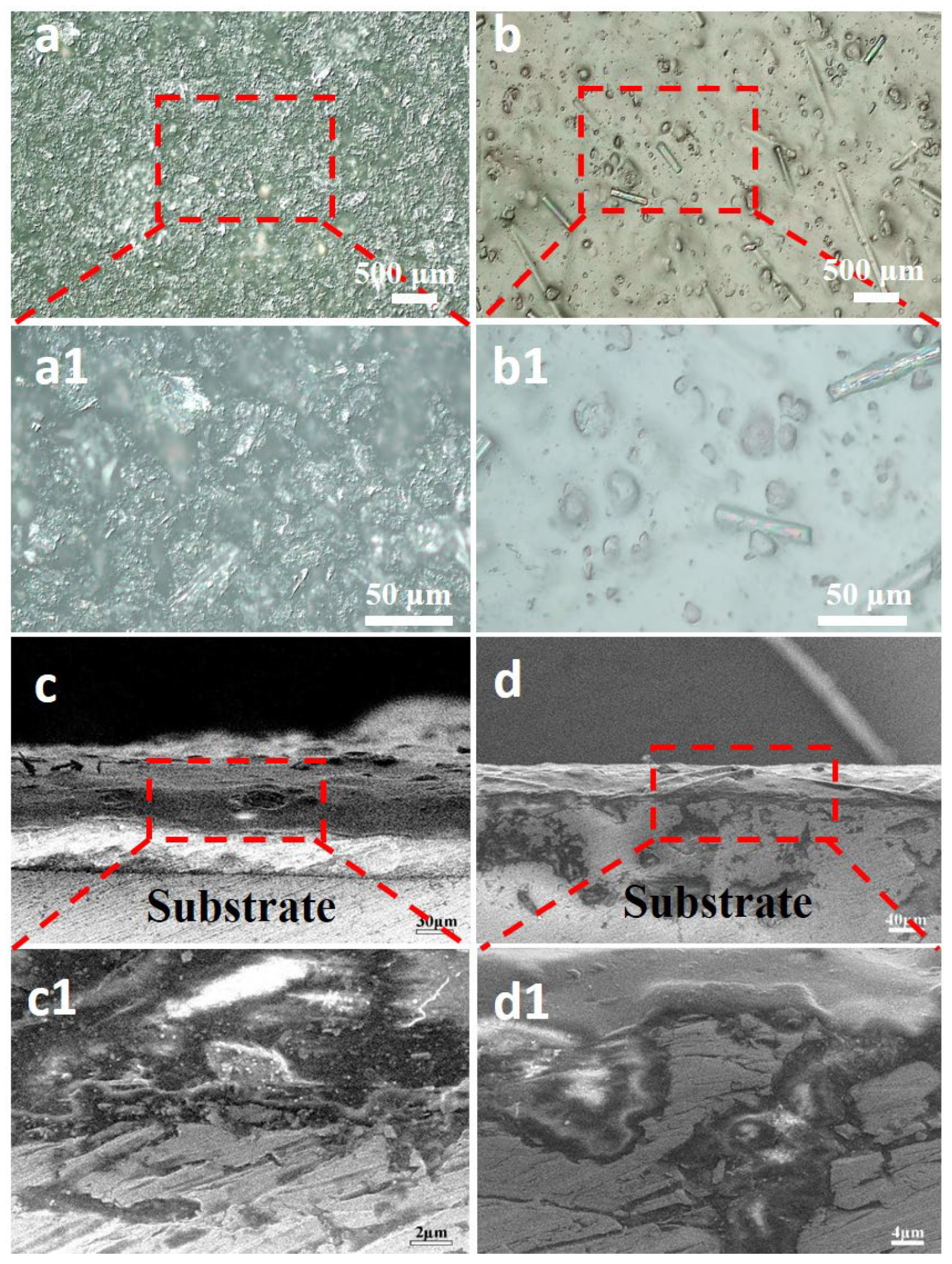 Coatings 15 00338 g002