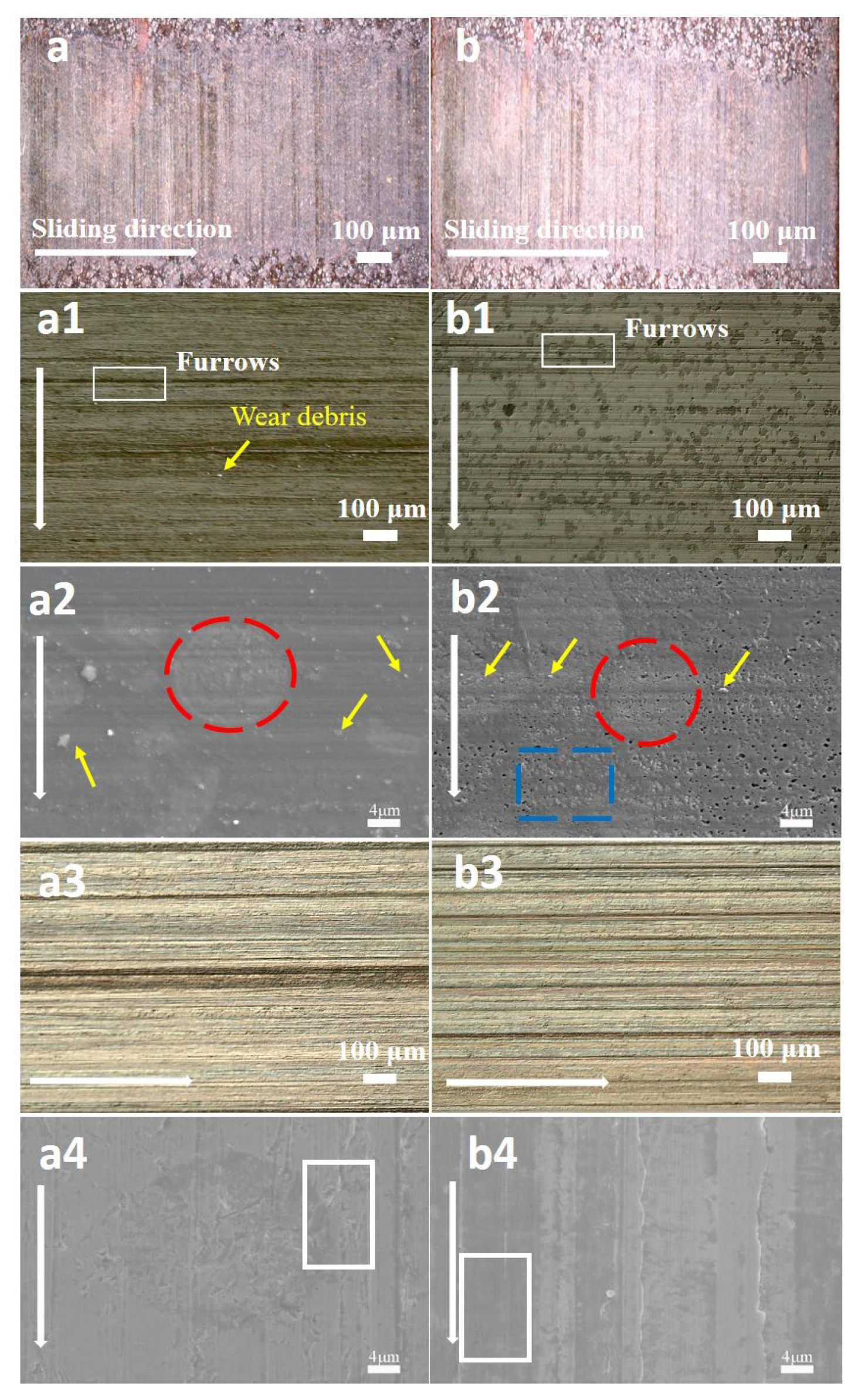 Coatings 15 00338 g005