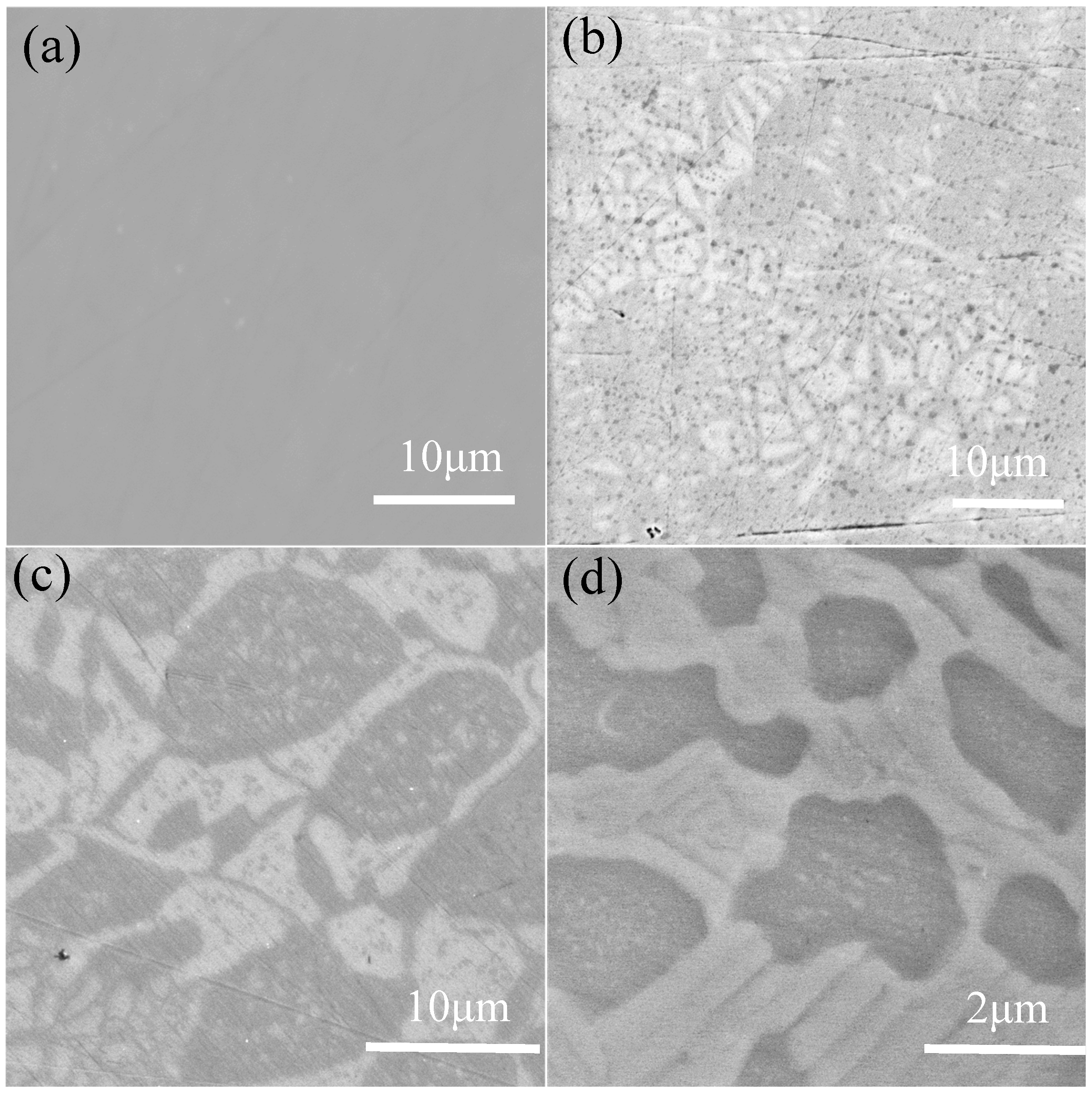 Coatings 15 00342 g002 Coatings 15 00342 g002