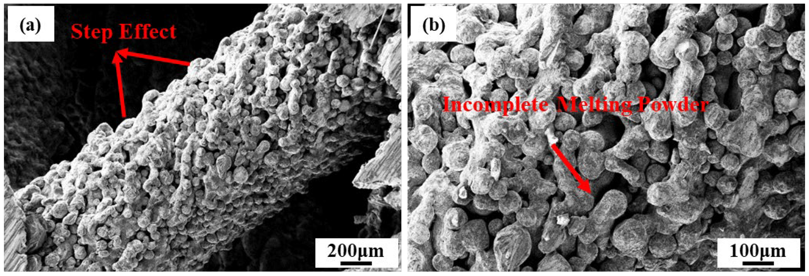 Coatings 15 00348 g004 Coatings 15 00348 g004