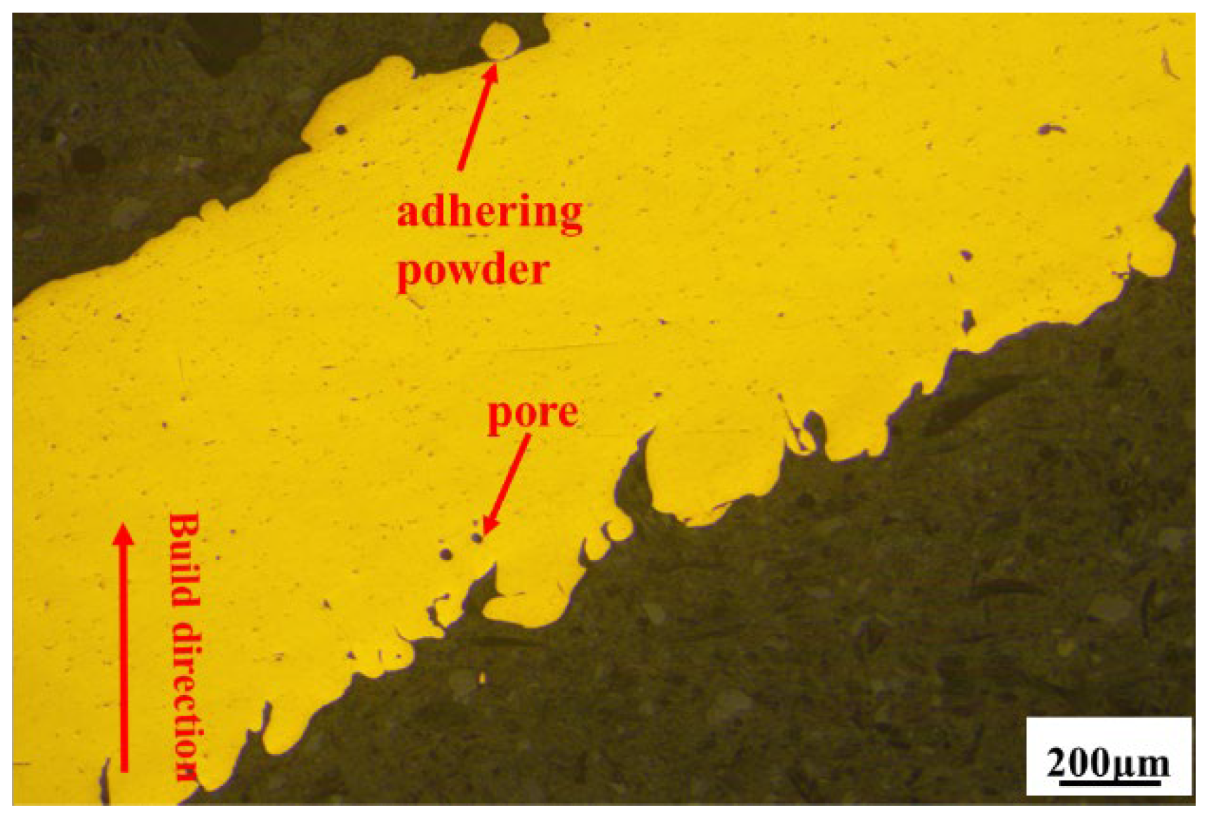 Coatings 15 00348 g005 Coatings 15 00348 g005