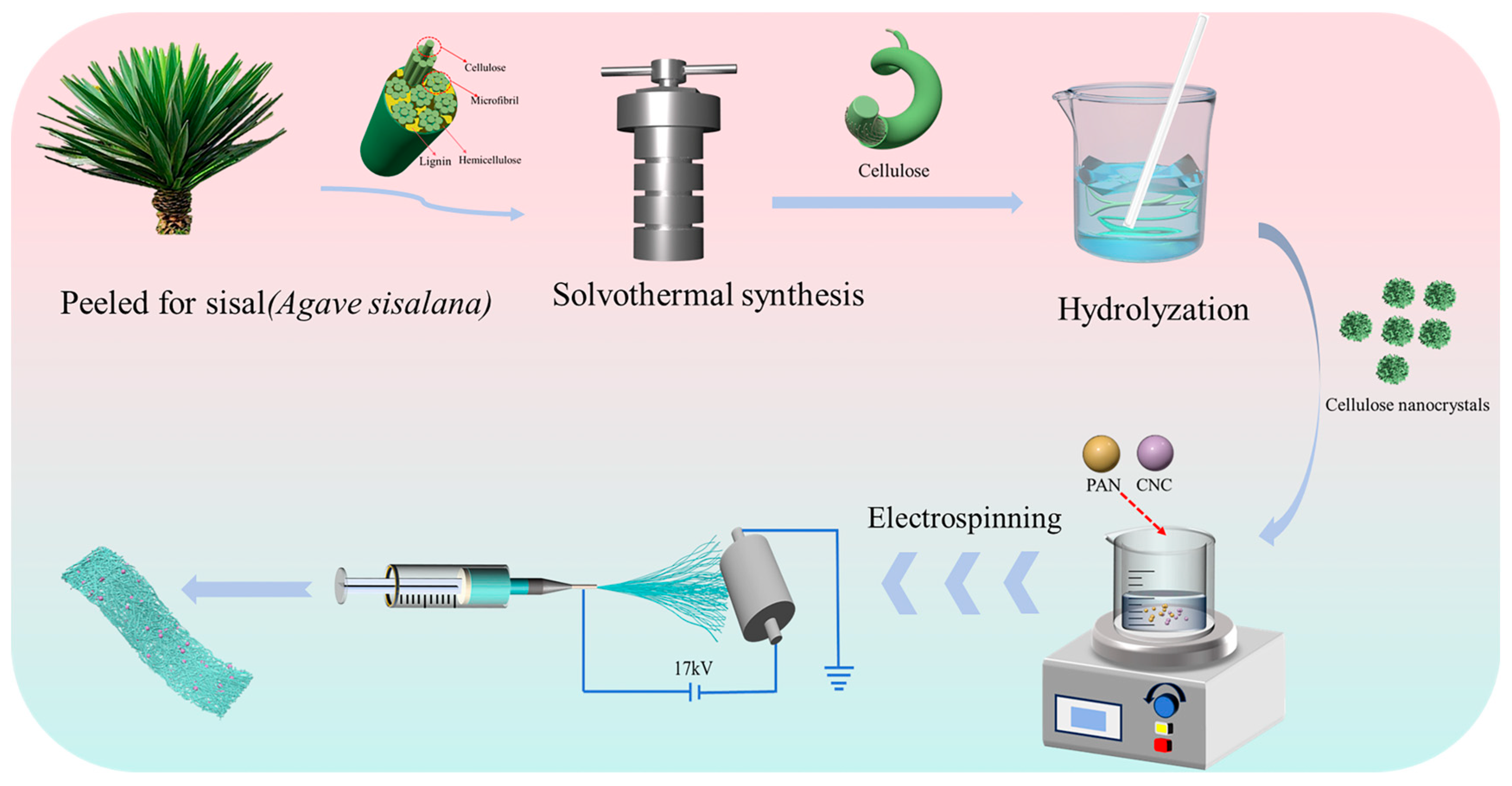 Coatings 15 00351 g001