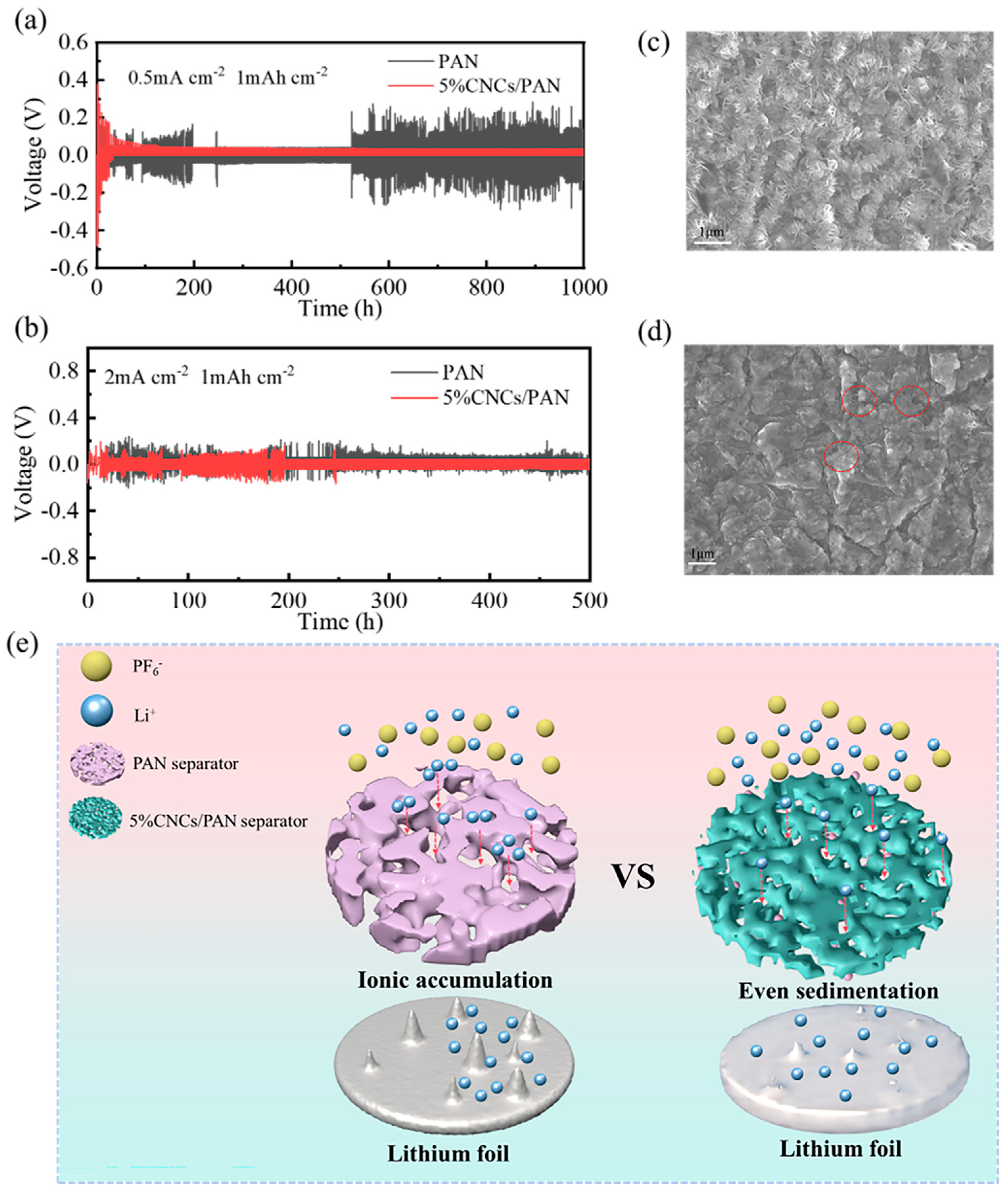 Coatings 15 00351 g007