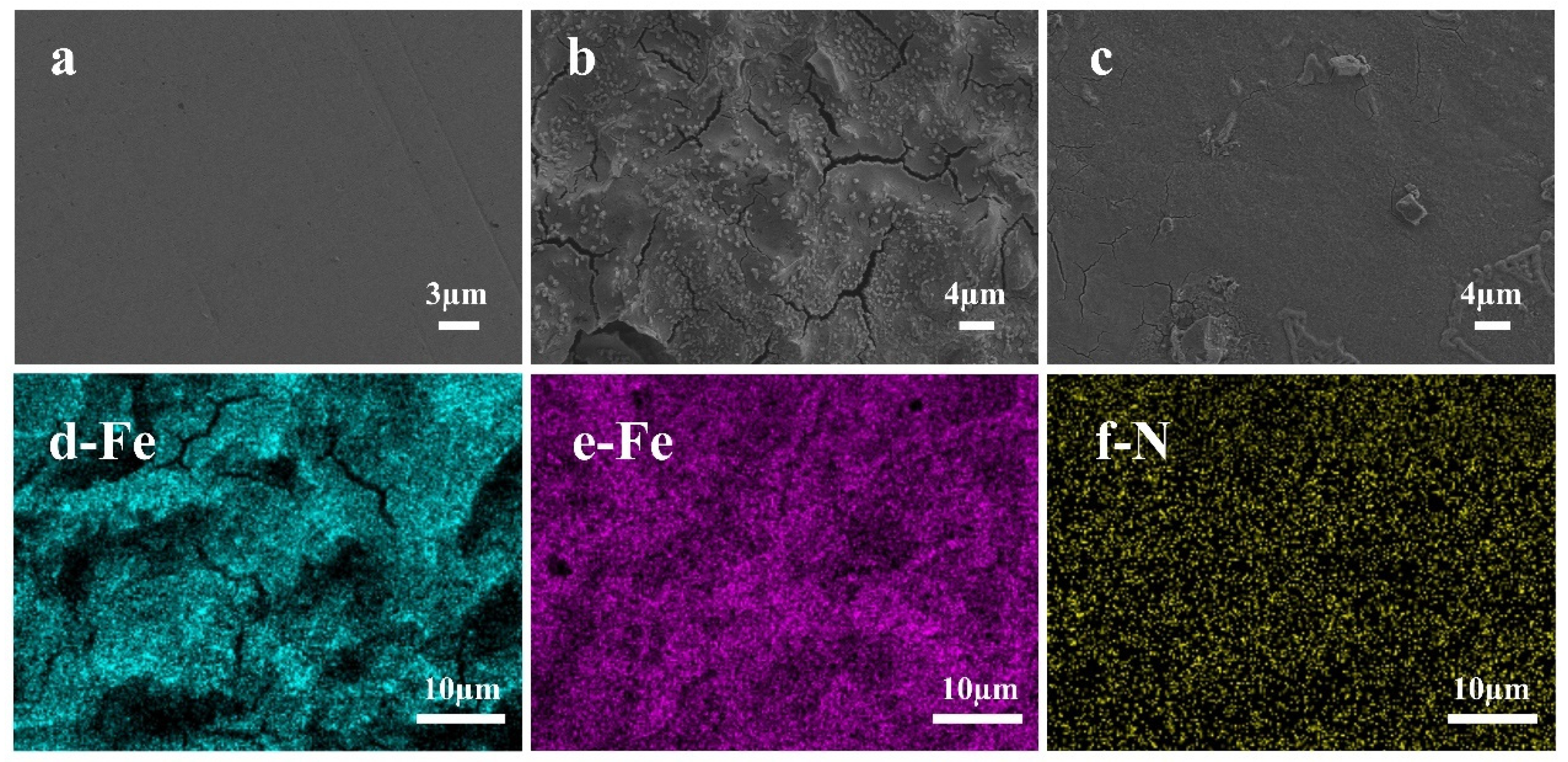 Coatings 15 00352 g011