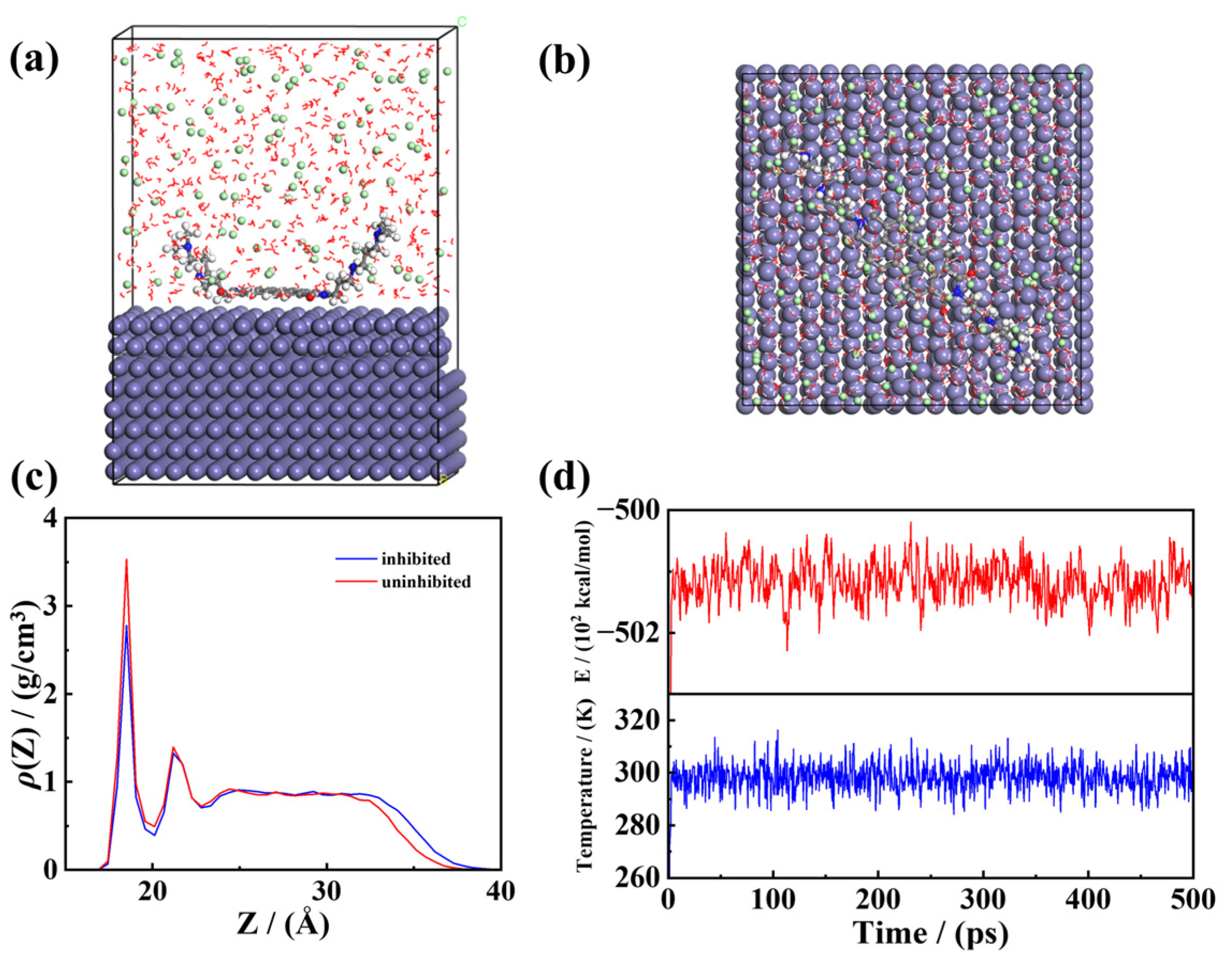 Coatings 15 00352 g017