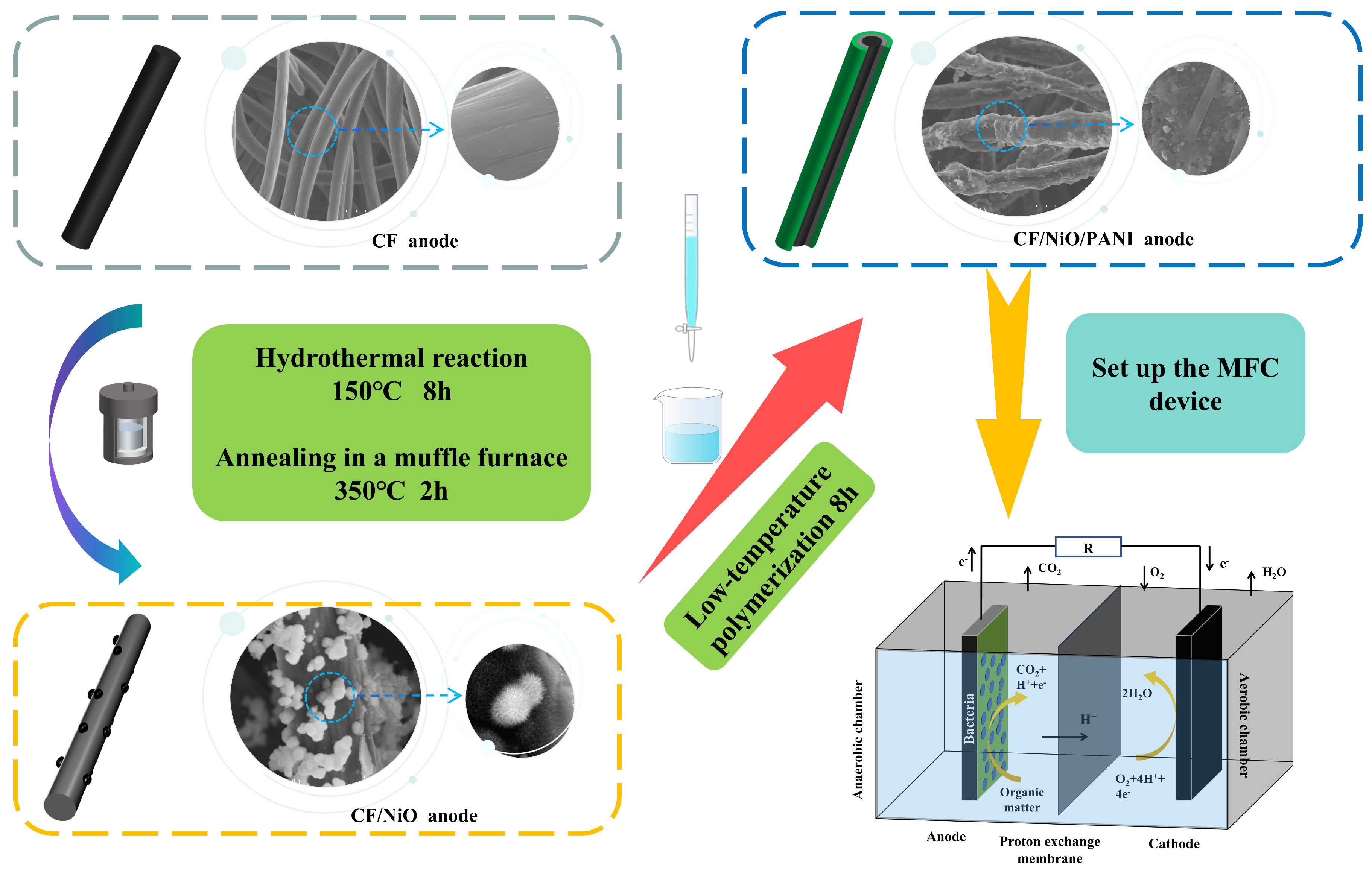 Coatings 15 00356 g001