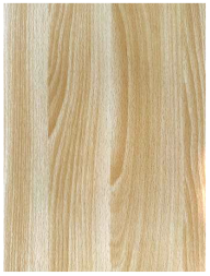 Coatings 15 00386 i002