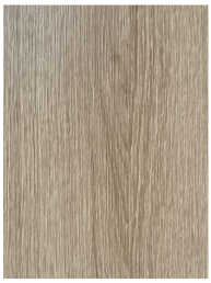 Coatings 15 00386 i009