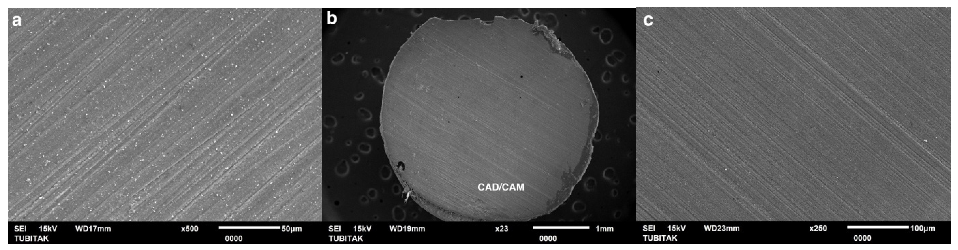 Coatings 15 00432 g003