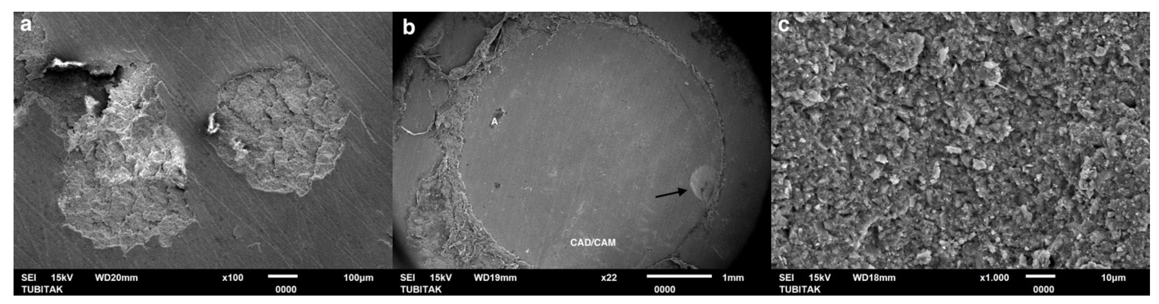 Coatings 15 00432 g008