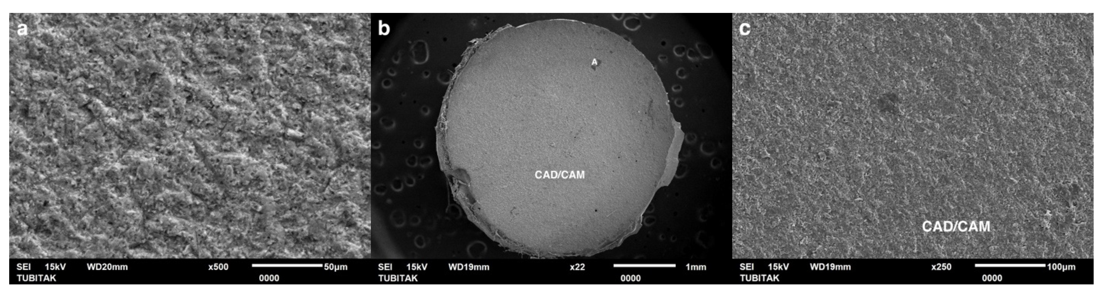 Coatings 15 00432 g010