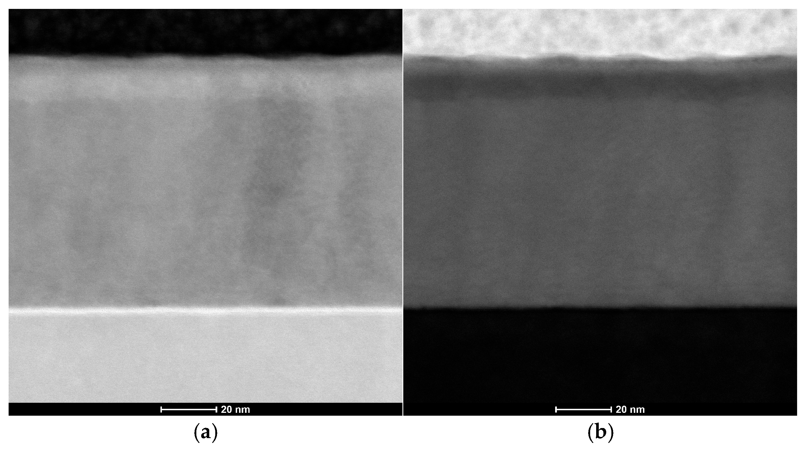 Coatings 15 00436 g006