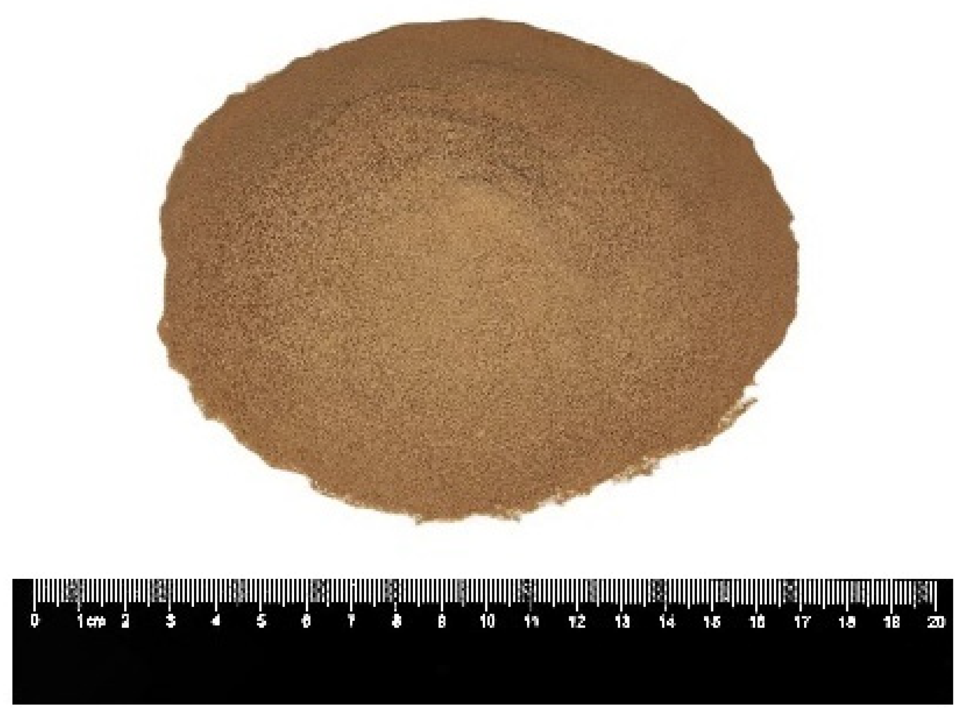 Coatings 15 00441 g002 Coatings 15 00441 g002