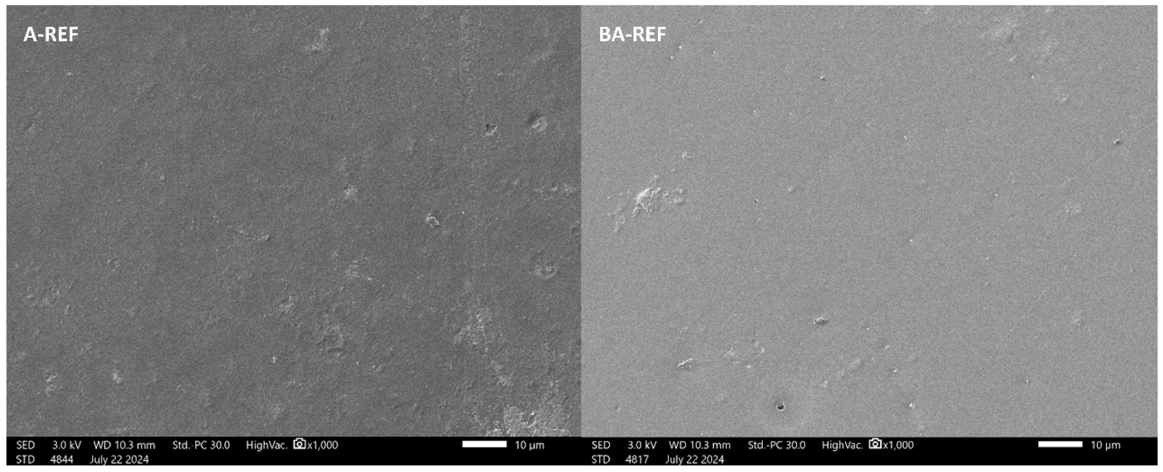Coatings 15 00445 g003 Coatings 15 00445 g003