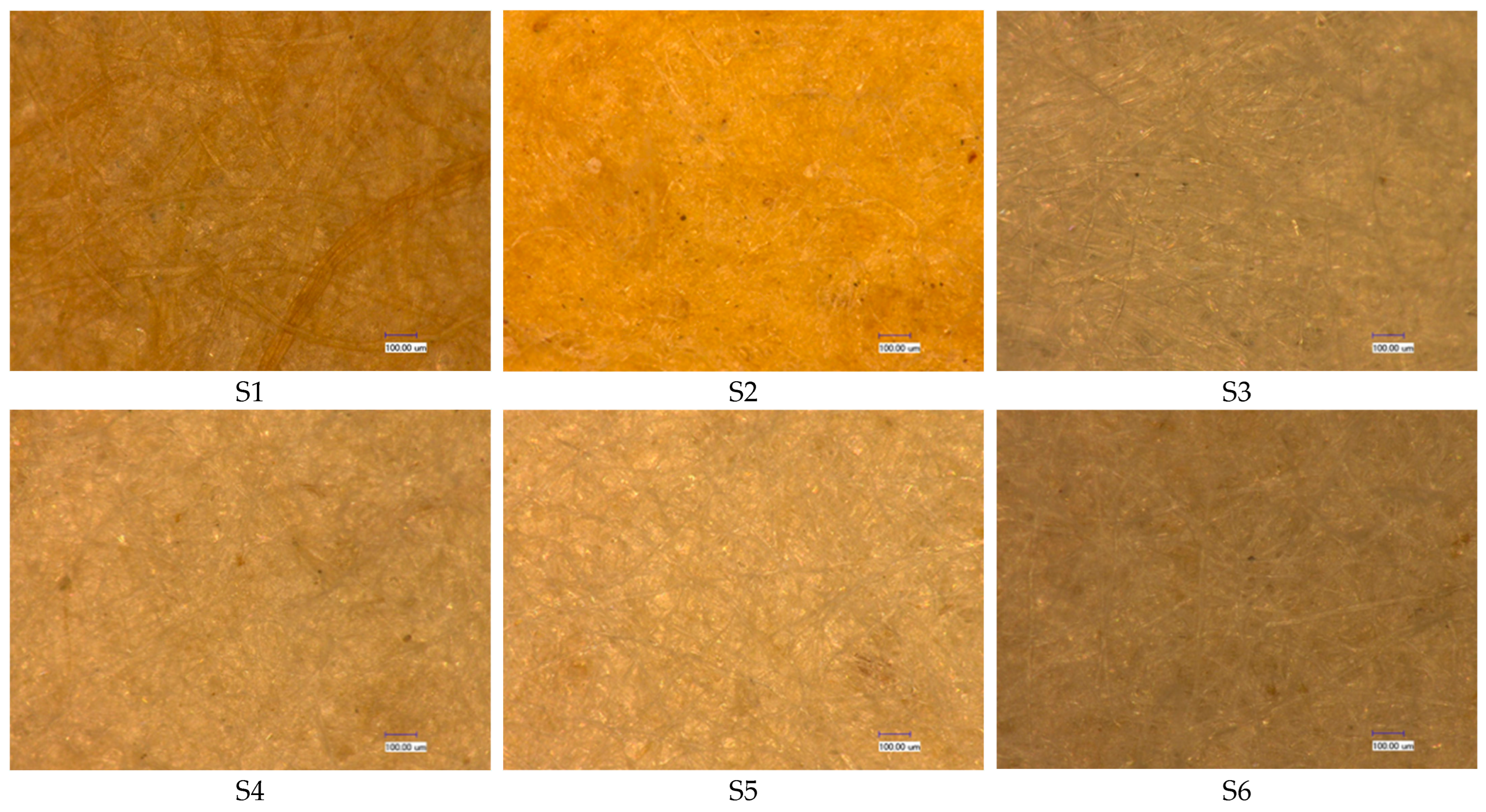 Coatings 15 00449 g001 Coatings 15 00449 g001