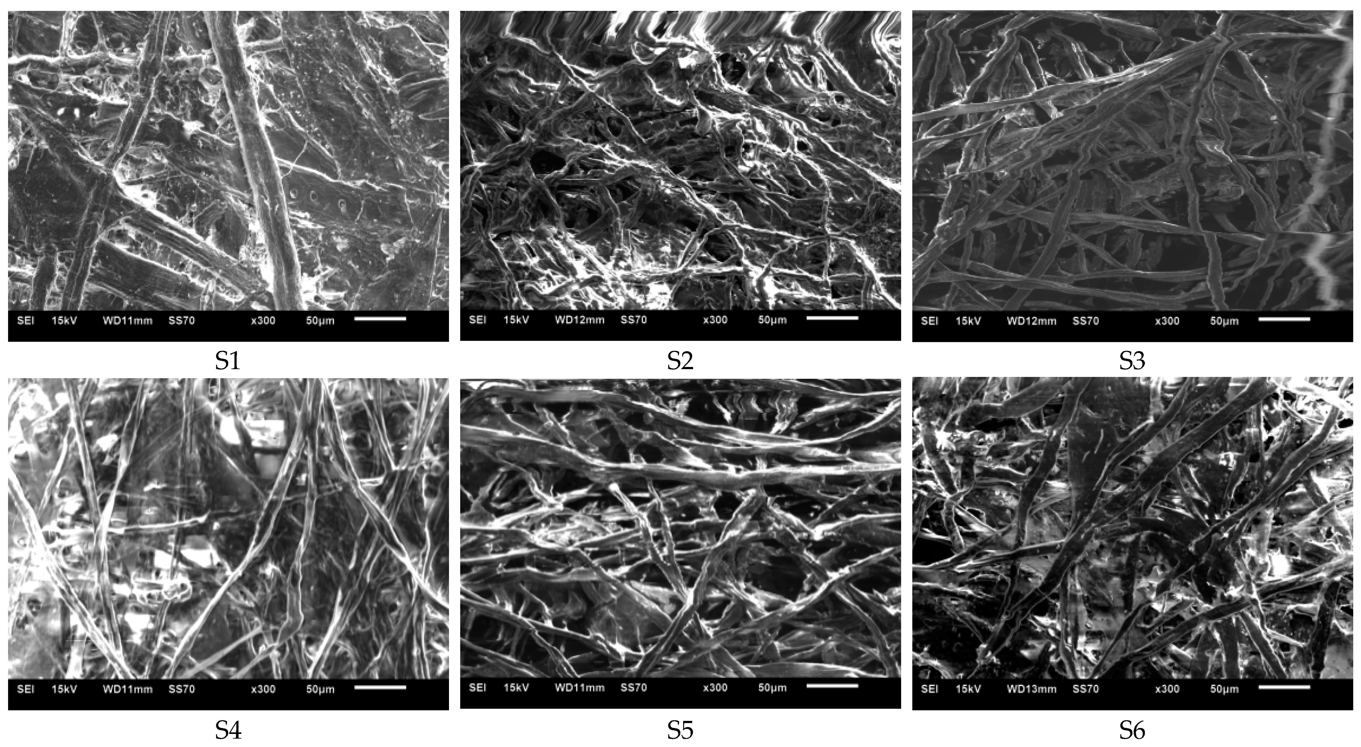 Coatings 15 00449 g003 Coatings 15 00449 g003