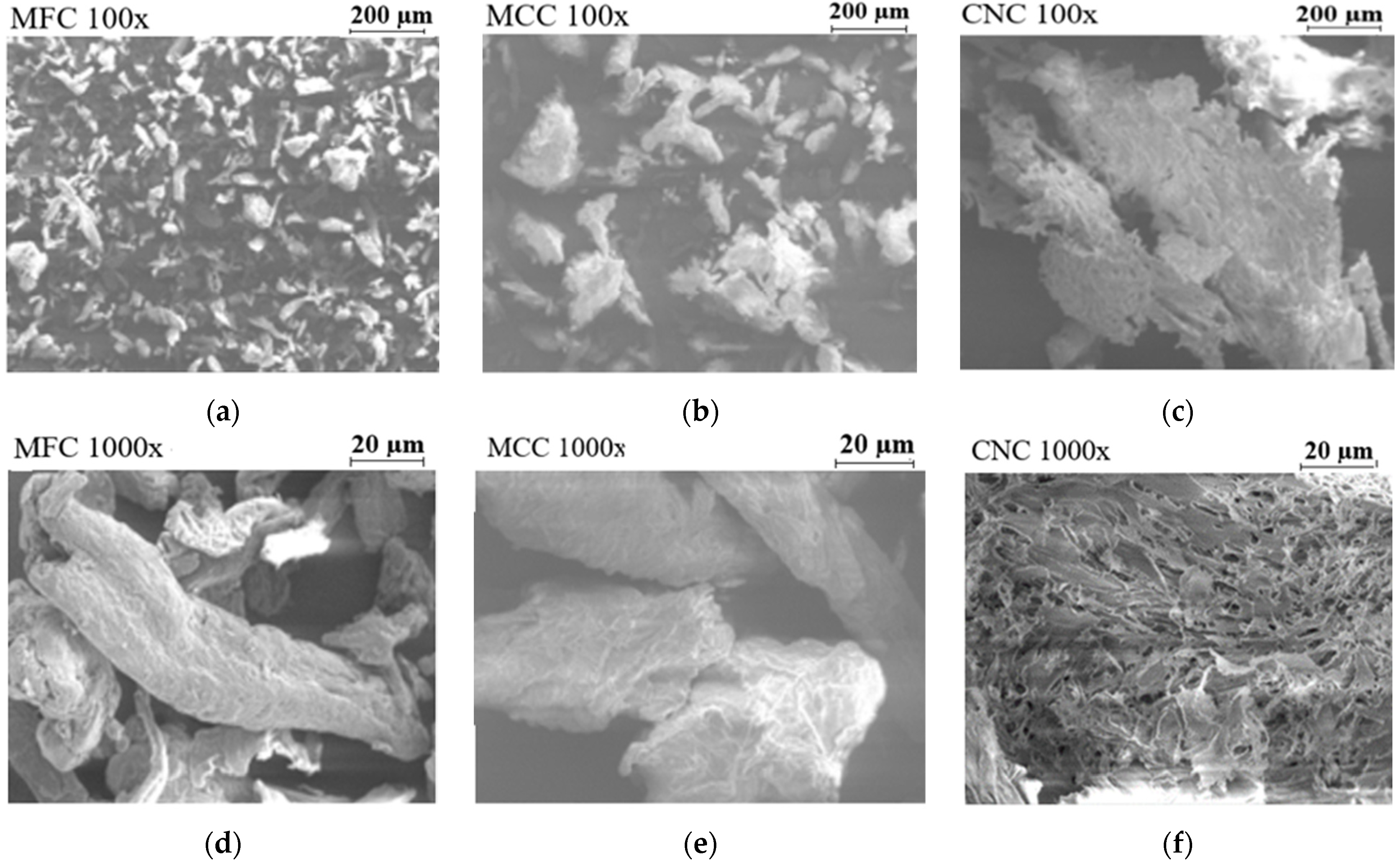 Coatings 15 00452 g001 Coatings 15 00452 g001