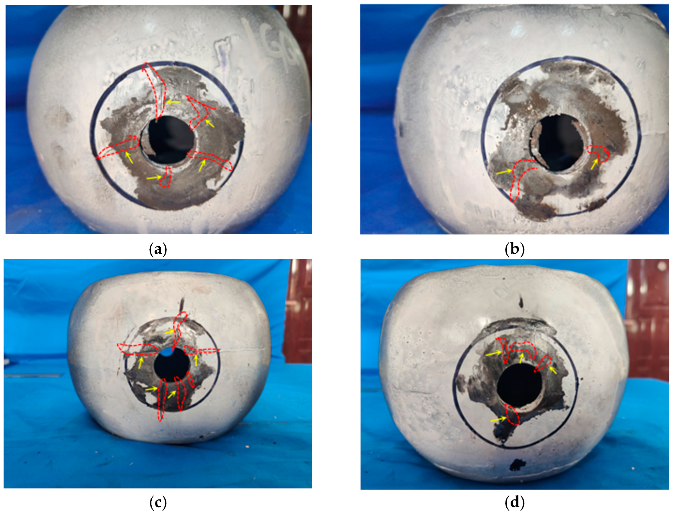 Coatings 15 00456 g010