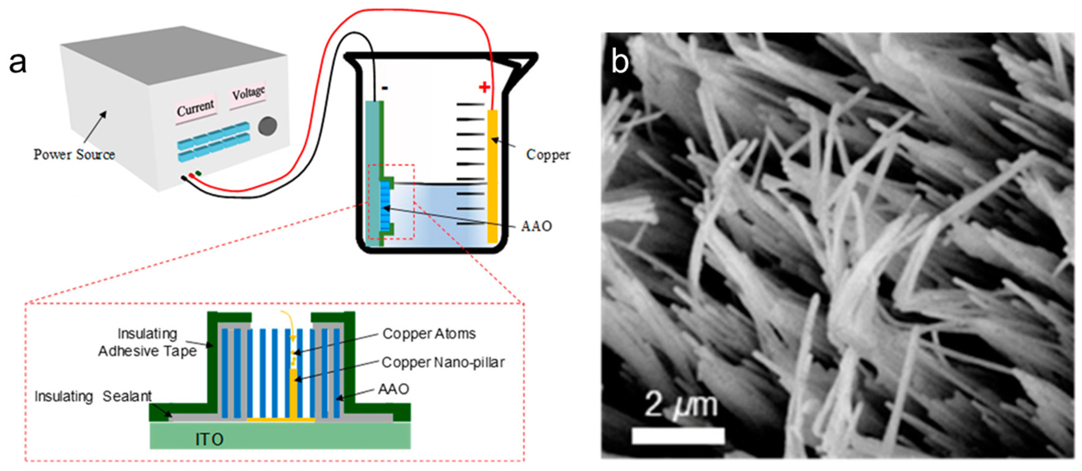 Coatings 15 00465 g001