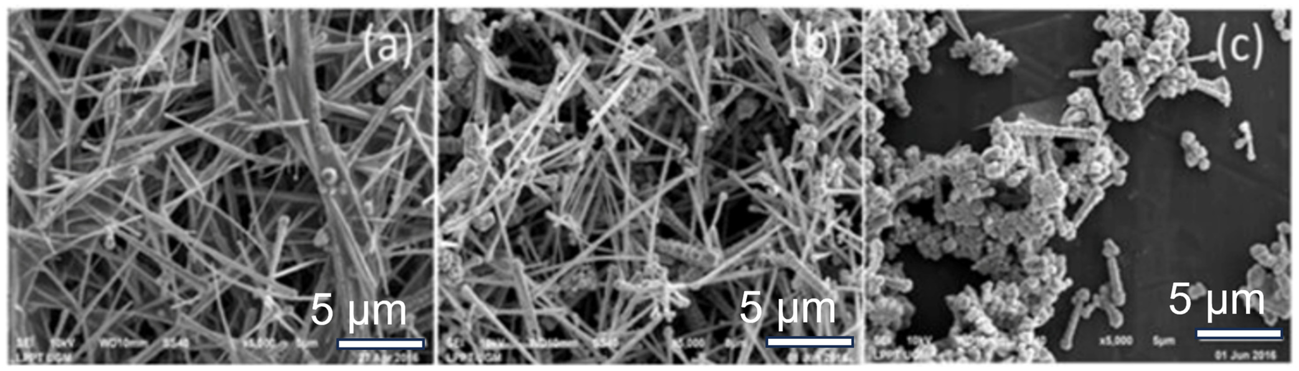 Coatings 15 00465 g002