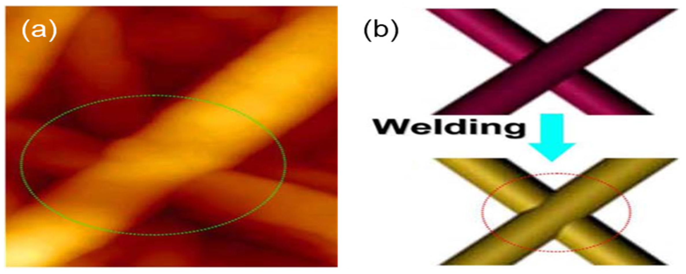 Coatings 15 00465 g004
